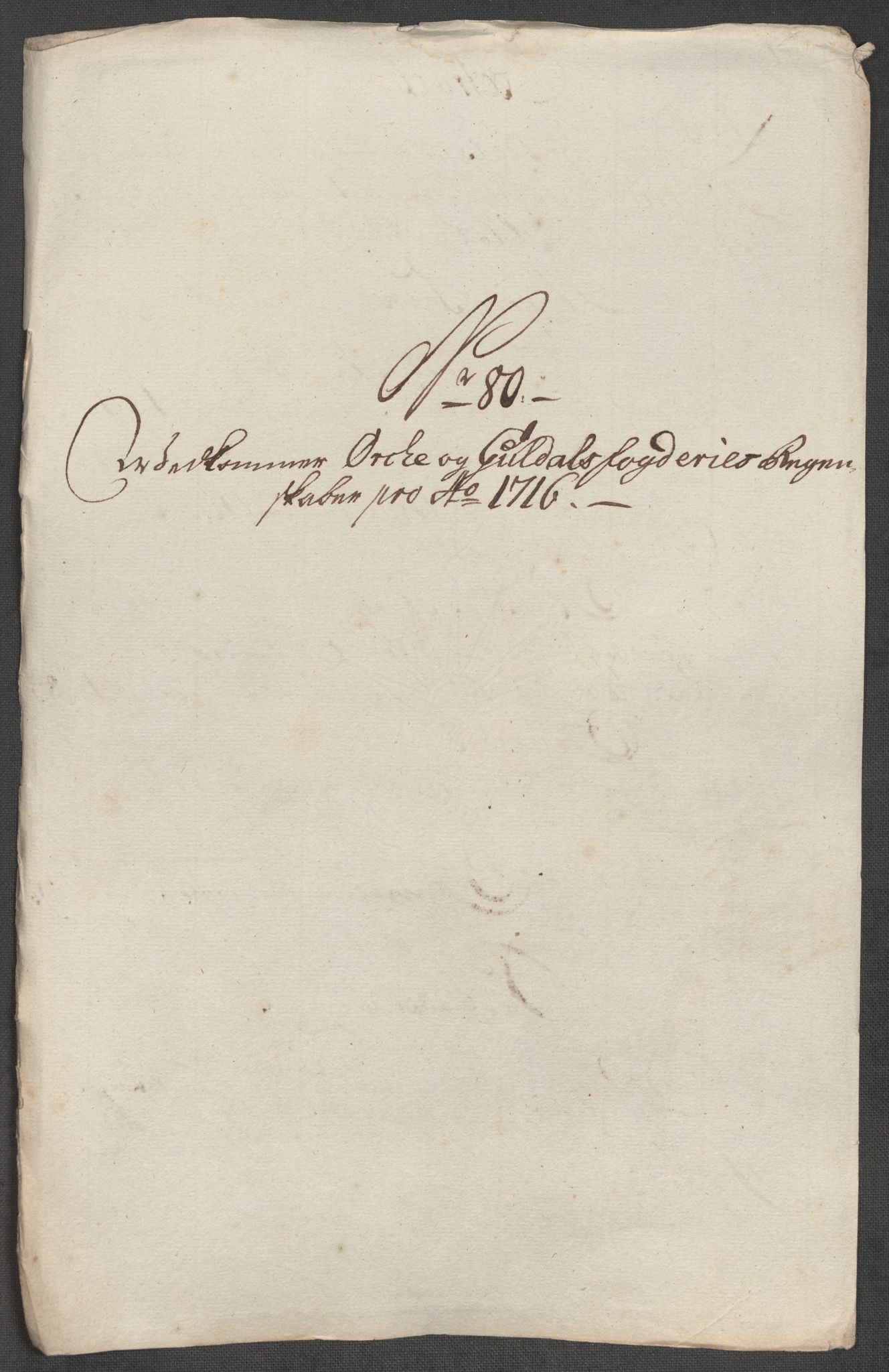 Rentekammeret inntil 1814, Reviderte regnskaper, Fogderegnskap, AV/RA-EA-4092/R60/L3968: Fogderegnskap Orkdal og Gauldal, 1716, p. 200