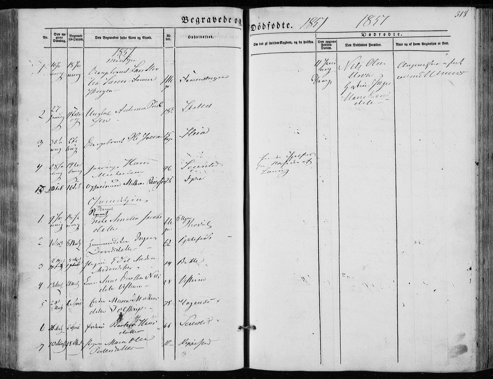 Hedrum kirkebøker, AV/SAKO-A-344/F/Fa/L0006: Parish register (official) no. I 6, 1849-1857, p. 318