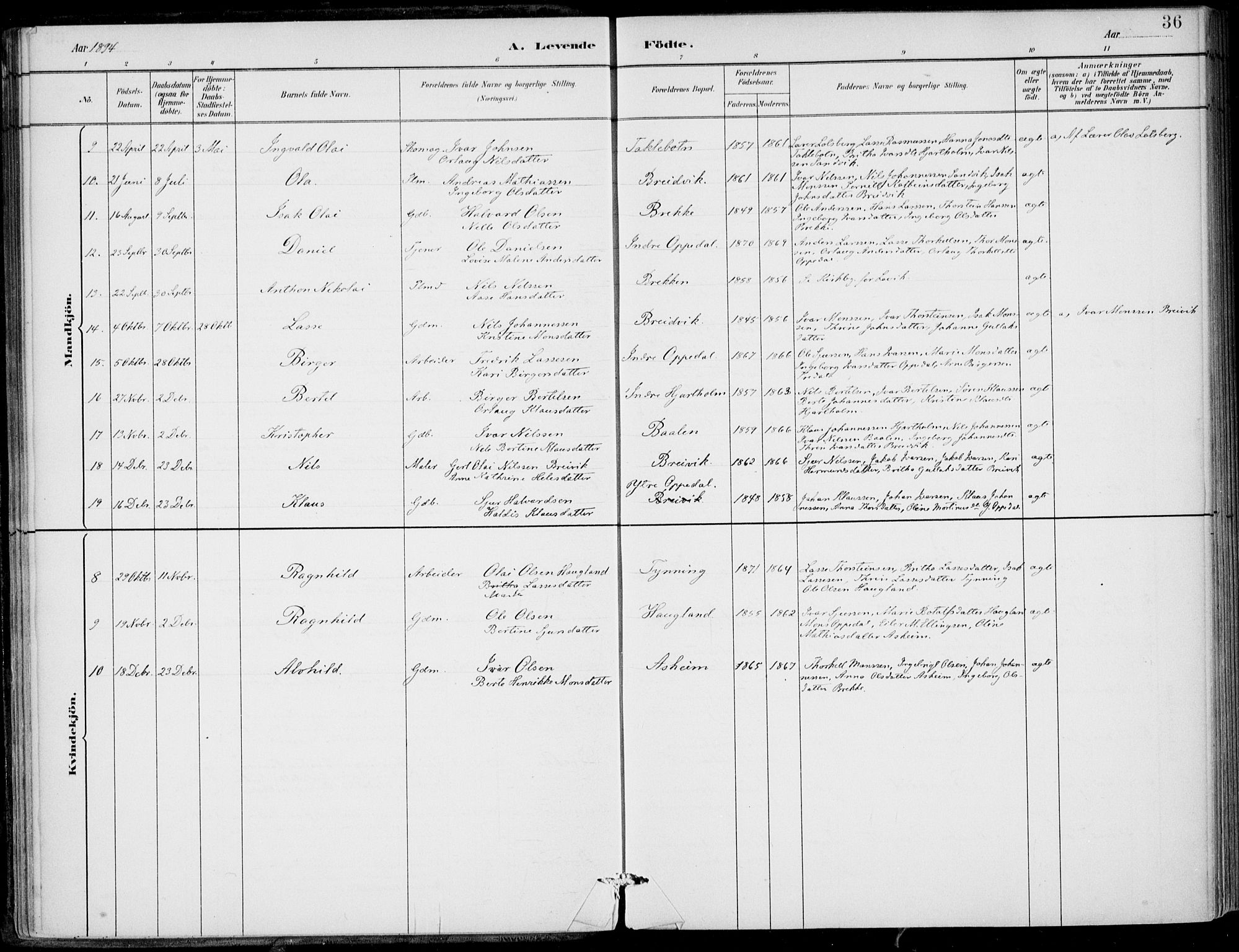 Gulen sokneprestembete, AV/SAB-A-80201/H/Haa/Haac/L0002: Parish register (official) no. C  2, 1882-1914, p. 36