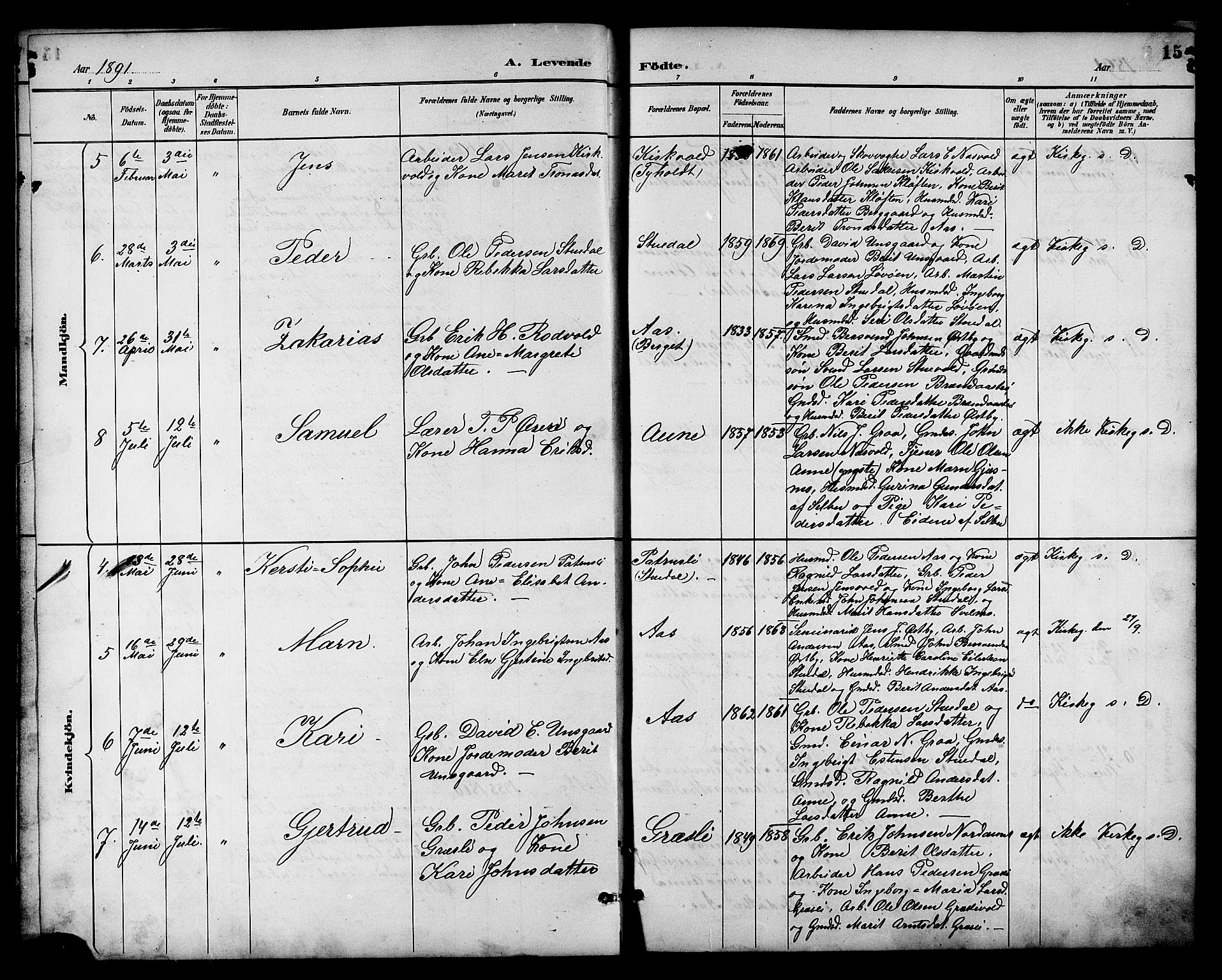 Ministerialprotokoller, klokkerbøker og fødselsregistre - Sør-Trøndelag, SAT/A-1456/698/L1167: Parish register (copy) no. 698C04, 1888-1907, p. 15