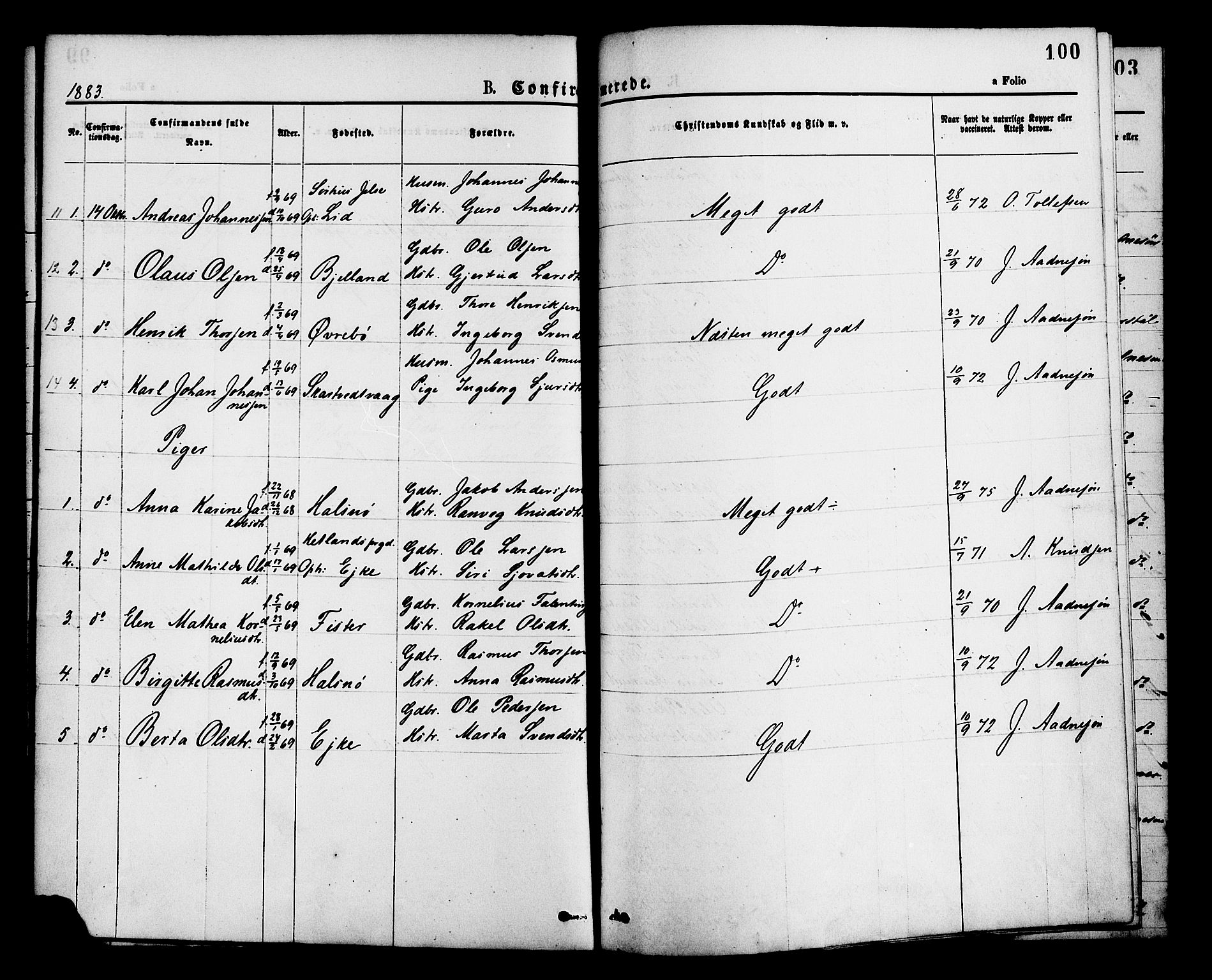 Hjelmeland sokneprestkontor, SAST/A-101843/01/IV/L0013: Parish register (official) no. A 13, 1872-1886, p. 100