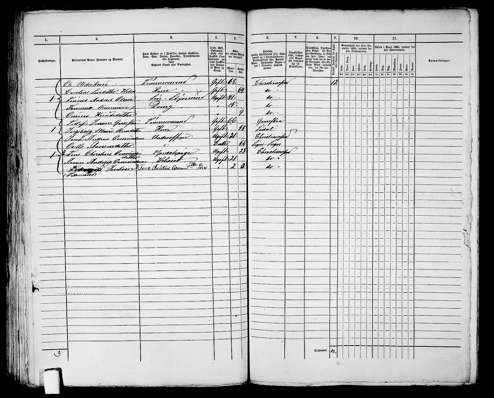 RA, 1865 census for Kristiansand, 1865, p. 1229