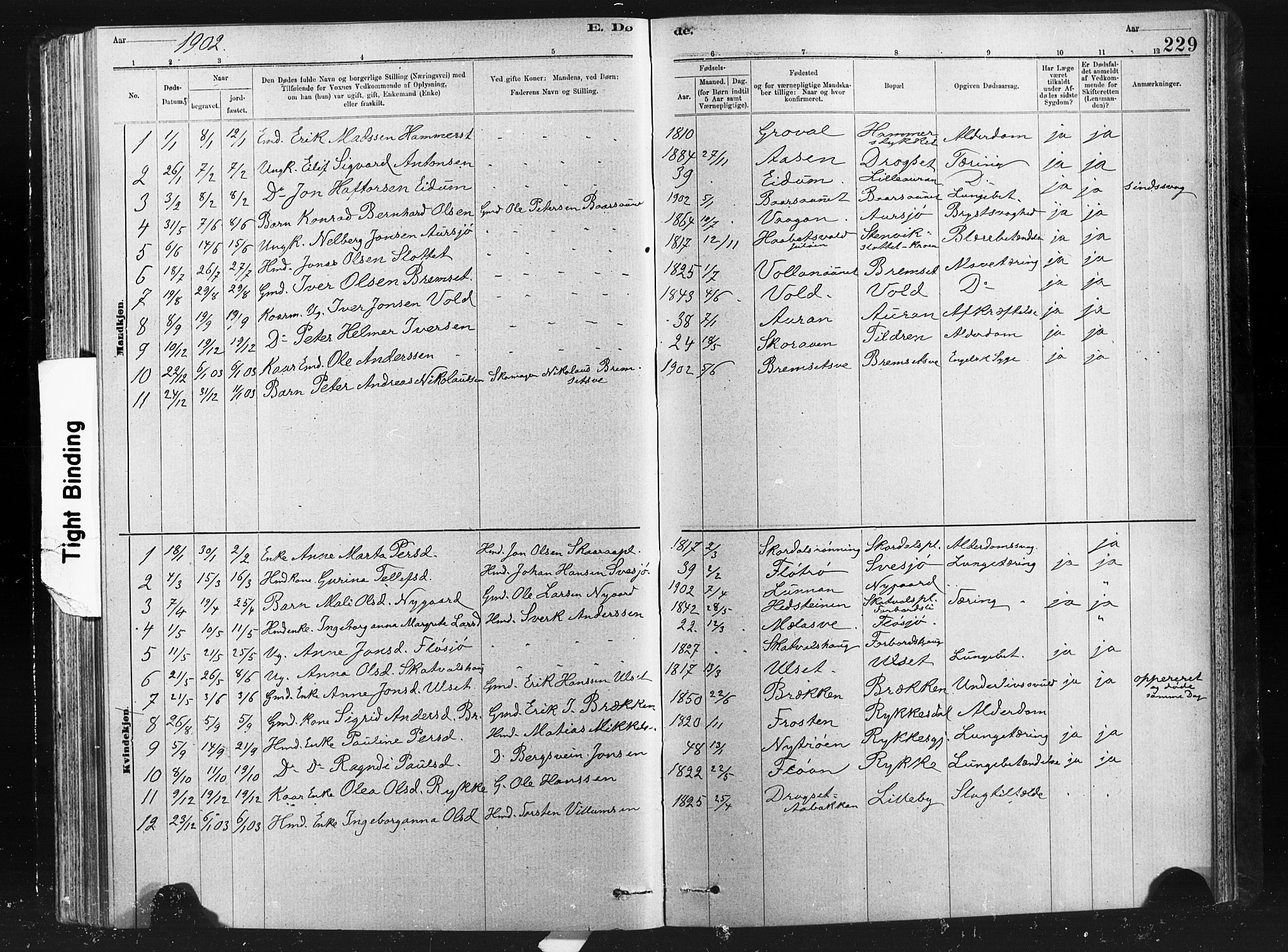 Ministerialprotokoller, klokkerbøker og fødselsregistre - Nord-Trøndelag, AV/SAT-A-1458/712/L0103: Parish register (copy) no. 712C01, 1878-1917, p. 229