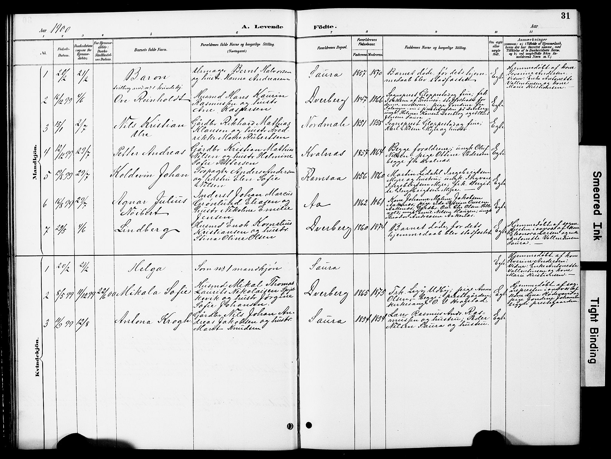 Ministerialprotokoller, klokkerbøker og fødselsregistre - Nordland, AV/SAT-A-1459/897/L1413: Parish register (copy) no. 897C03, 1887-1903, p. 31