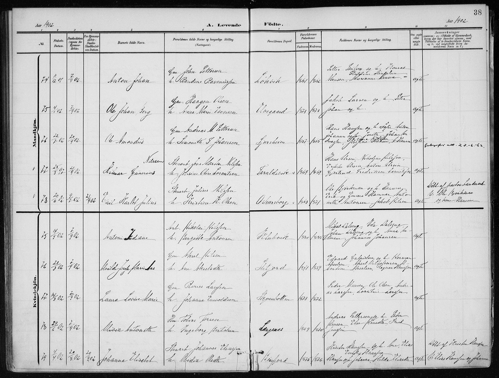 Ministerialprotokoller, klokkerbøker og fødselsregistre - Nordland, AV/SAT-A-1459/866/L0941: Parish register (official) no. 866A04, 1901-1917, p. 38