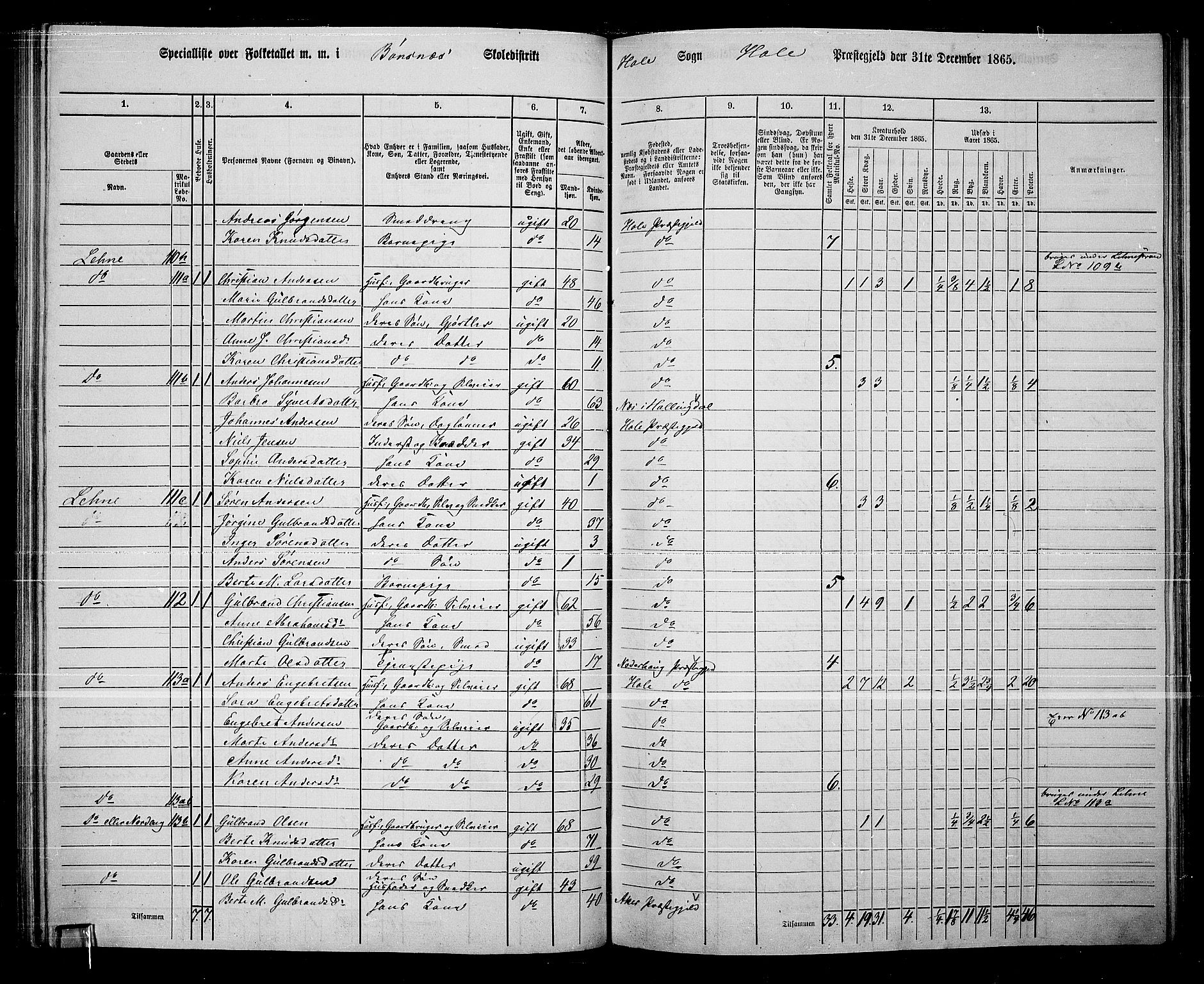 RA, 1865 census for Hole, 1865, p. 87