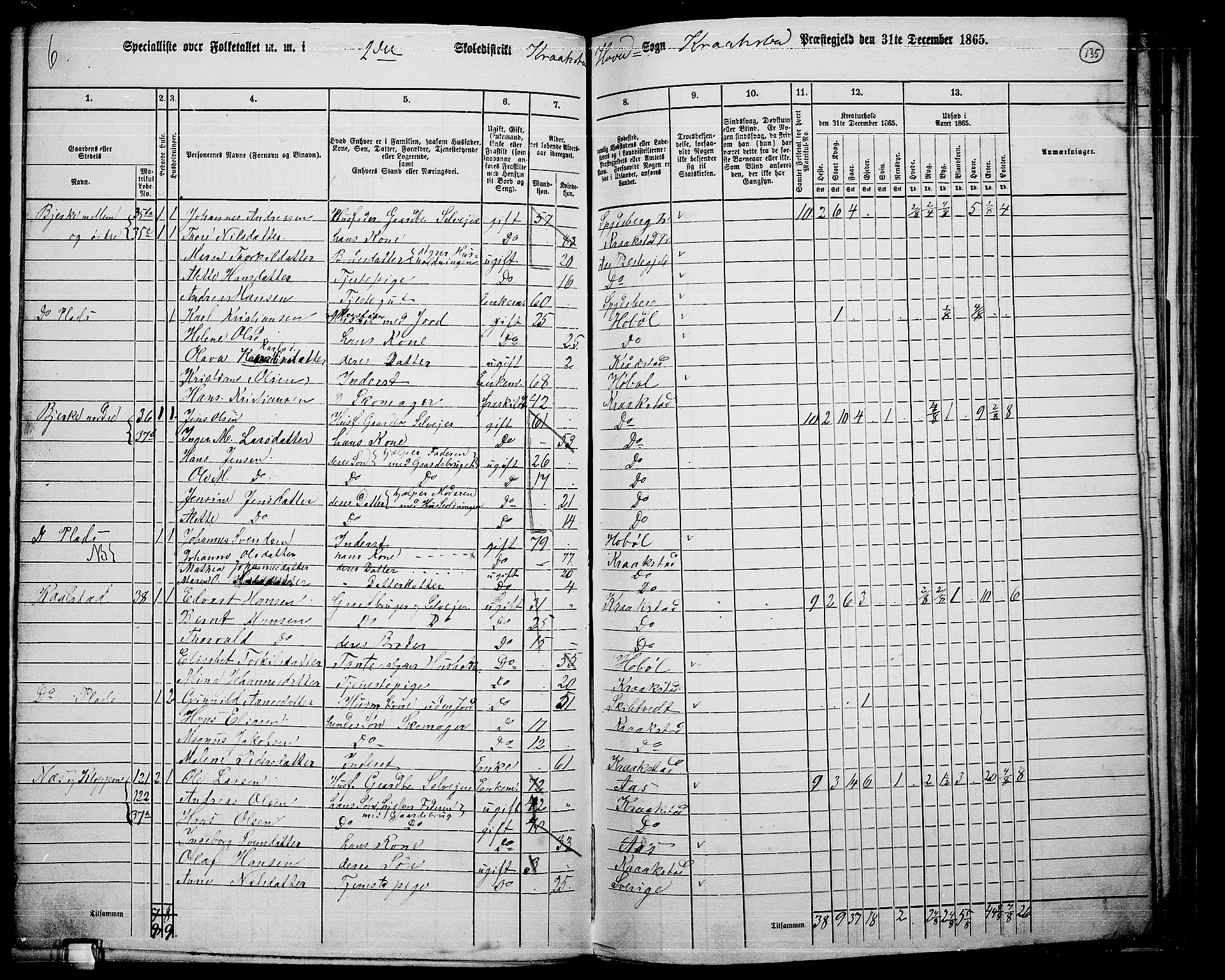 RA, 1865 census for Kråkstad, 1865, p. 119