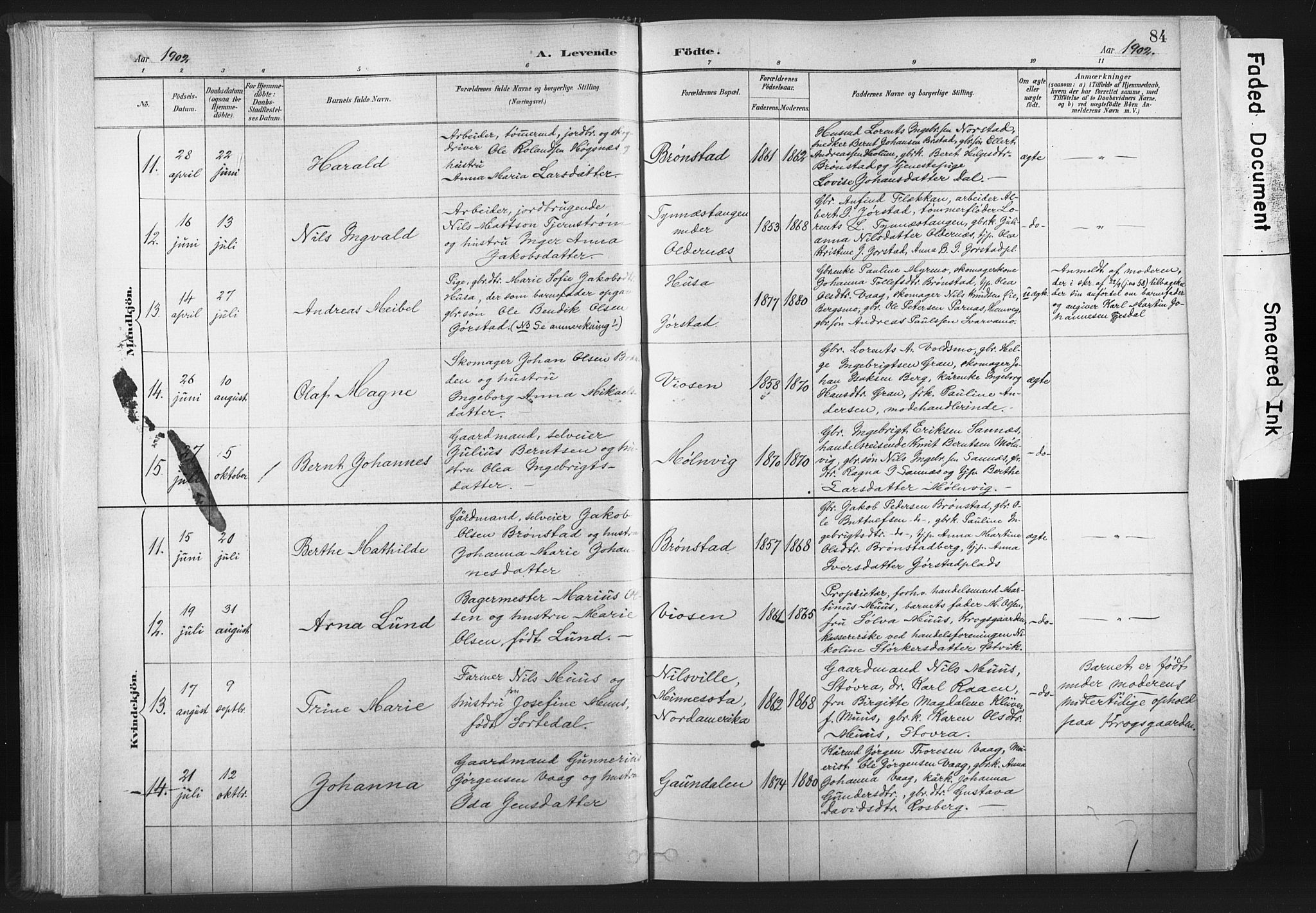 Ministerialprotokoller, klokkerbøker og fødselsregistre - Nord-Trøndelag, SAT/A-1458/749/L0474: Parish register (official) no. 749A08, 1887-1903, p. 84