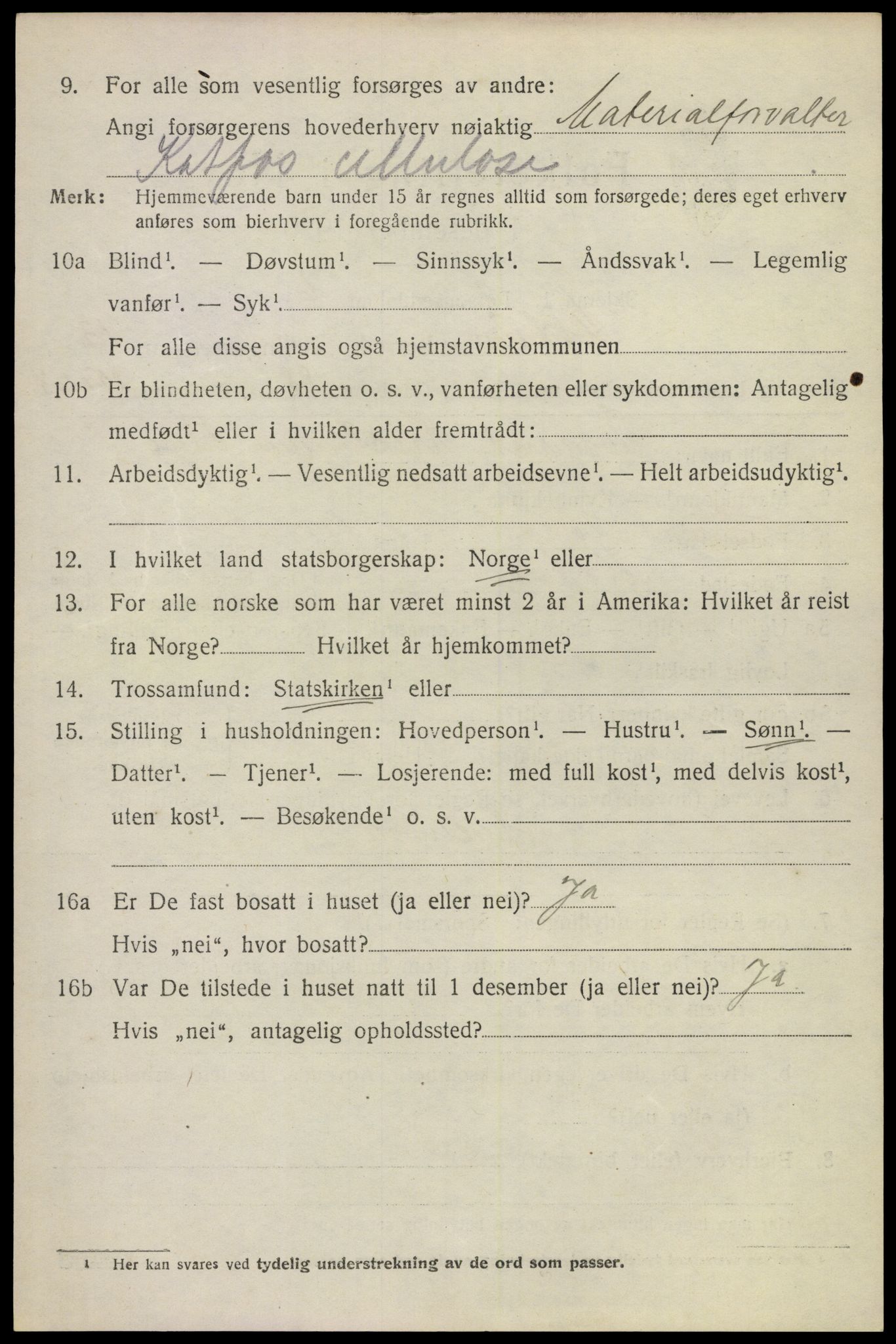 SAKO, 1920 census for Modum, 1920, p. 15956