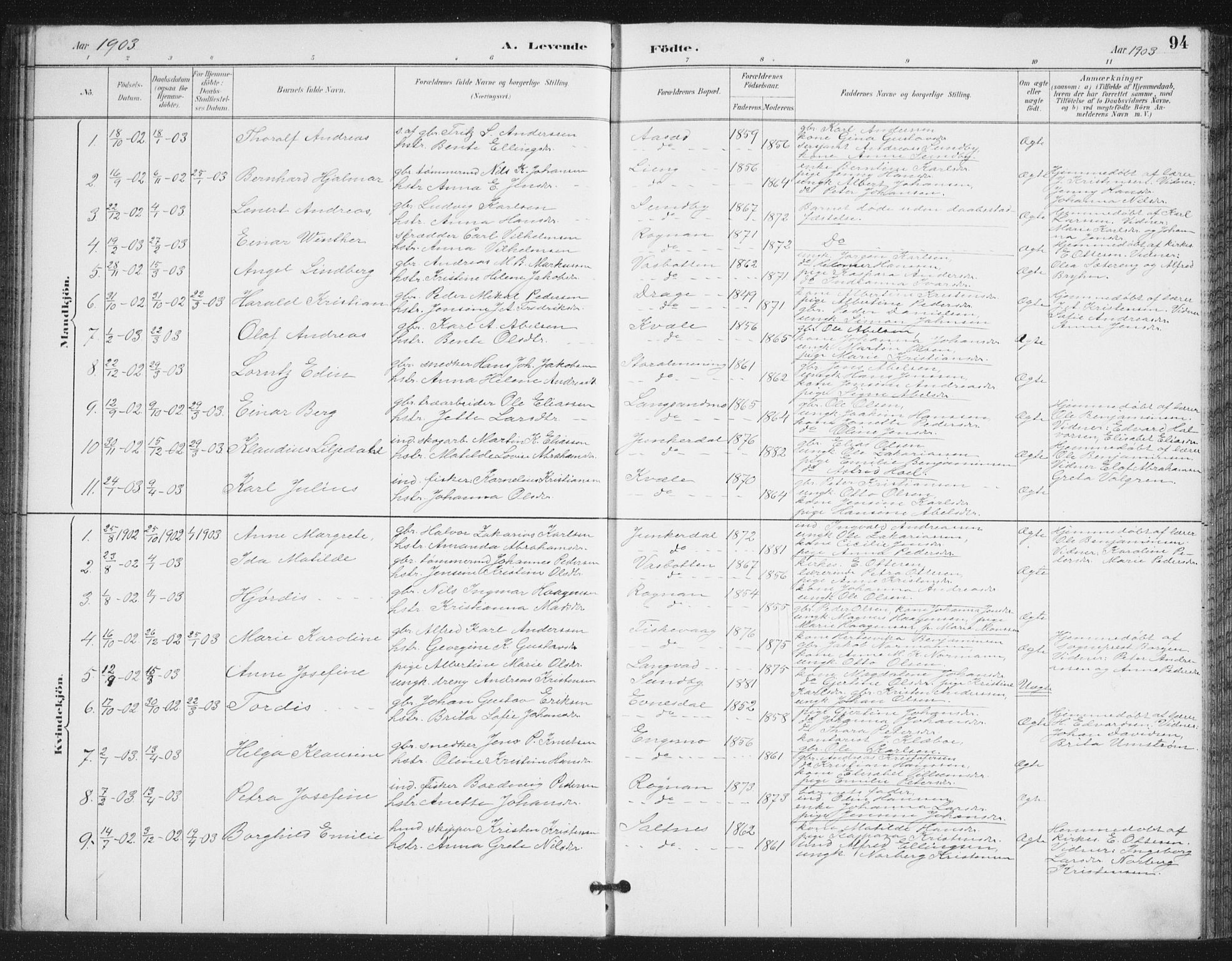 Ministerialprotokoller, klokkerbøker og fødselsregistre - Nordland, SAT/A-1459/847/L0682: Parish register (copy) no. 847C10, 1889-1907, p. 94