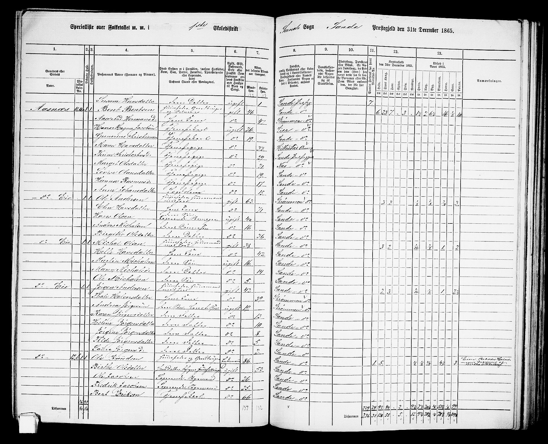 RA, 1865 census for Sande, 1865, p. 16