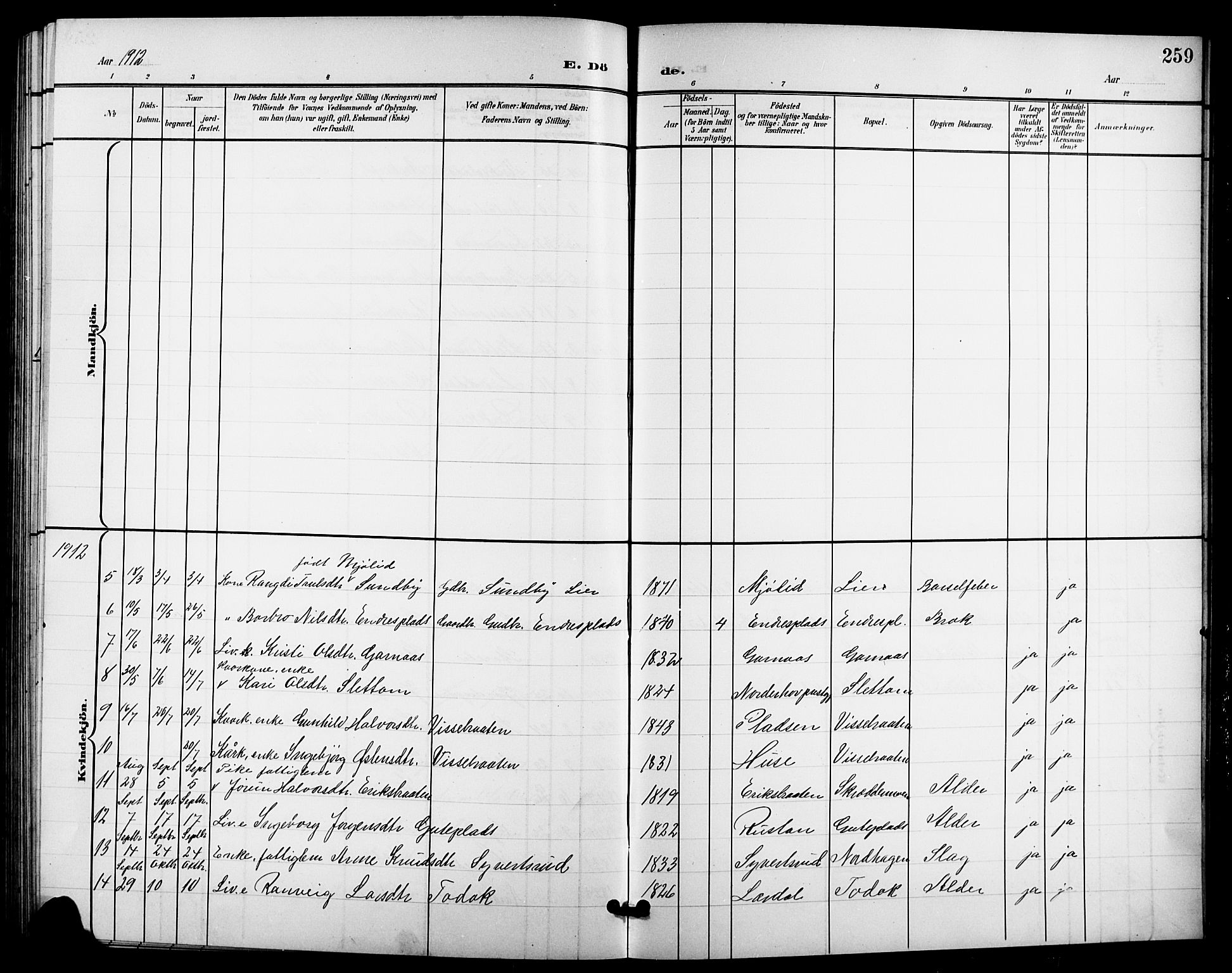 Nes kirkebøker, AV/SAKO-A-236/G/Ga/L0004: Parish register (copy) no. I 4, 1900-1925, p. 259