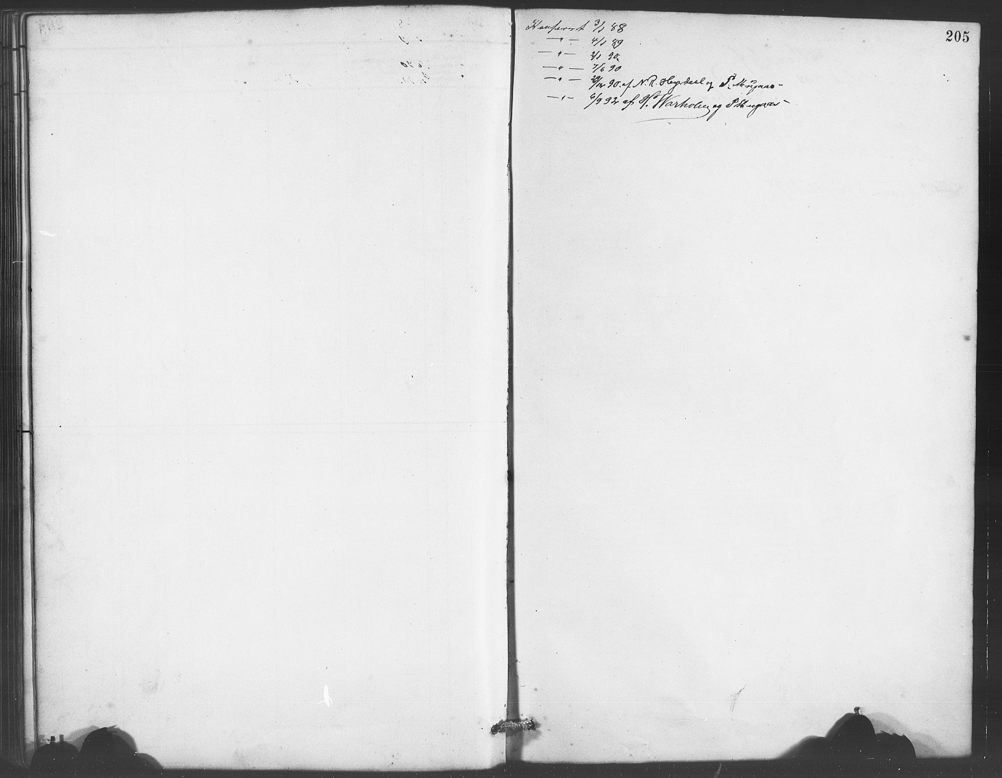 Evanger sokneprestembete, SAB/A-99924: Parish register (copy) no. A 4, 1887-1897, p. 205