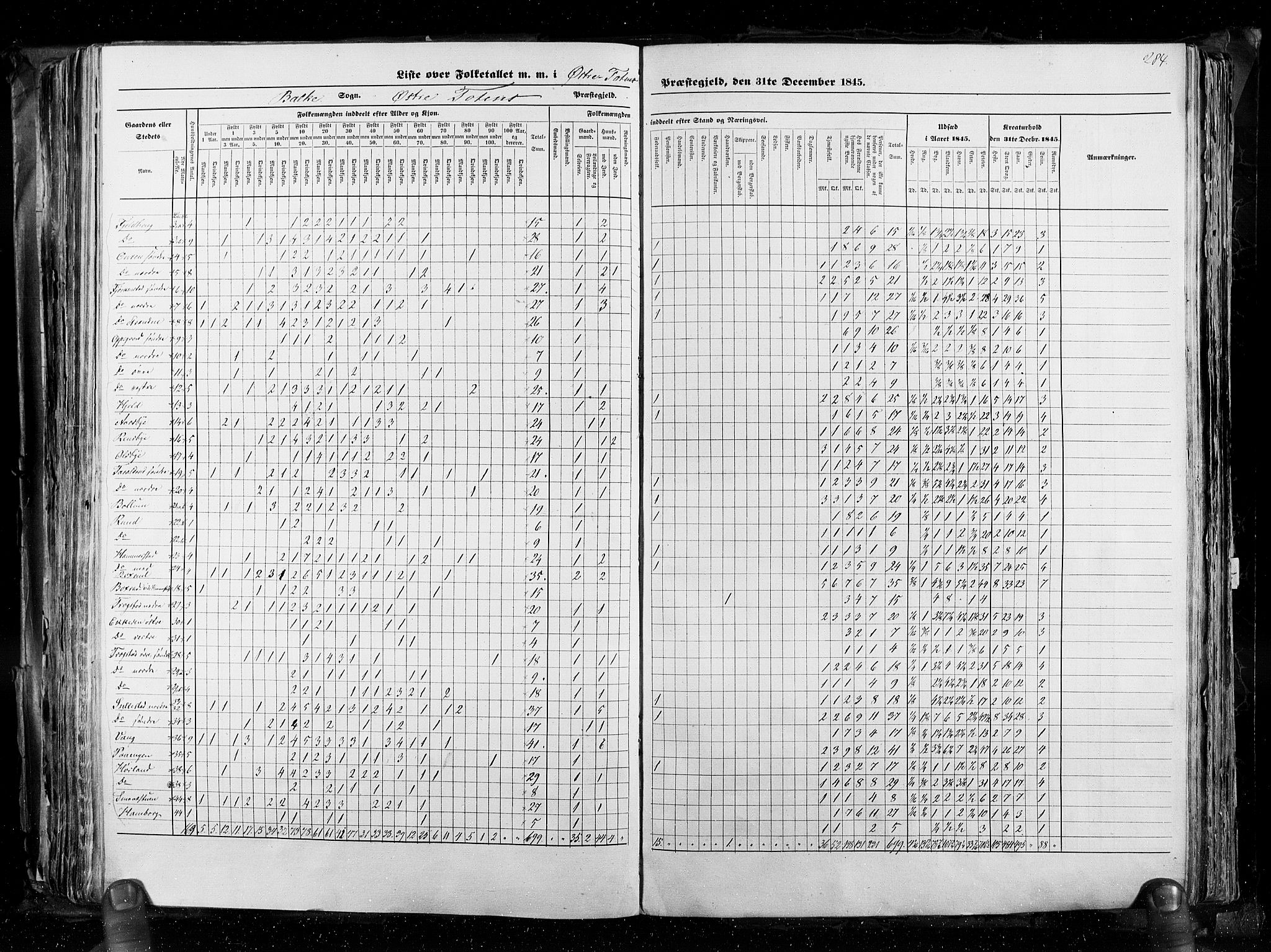 RA, Census 1845, vol. 3: Hedemarken amt og Kristians amt, 1845, p. 284