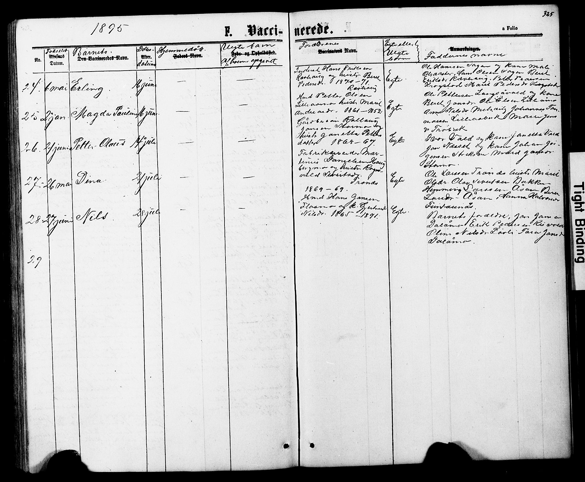 Ministerialprotokoller, klokkerbøker og fødselsregistre - Nord-Trøndelag, SAT/A-1458/706/L0049: Parish register (copy) no. 706C01, 1864-1895, p. 325