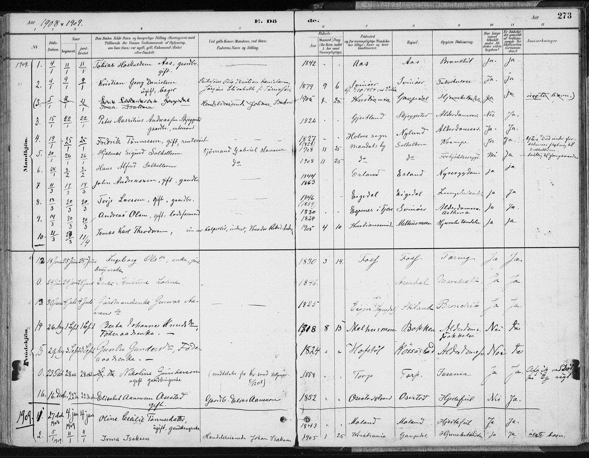 Sør-Audnedal sokneprestkontor, AV/SAK-1111-0039/F/Fa/Fab/L0010: Parish register (official) no. A 10, 1892-1913, p. 273