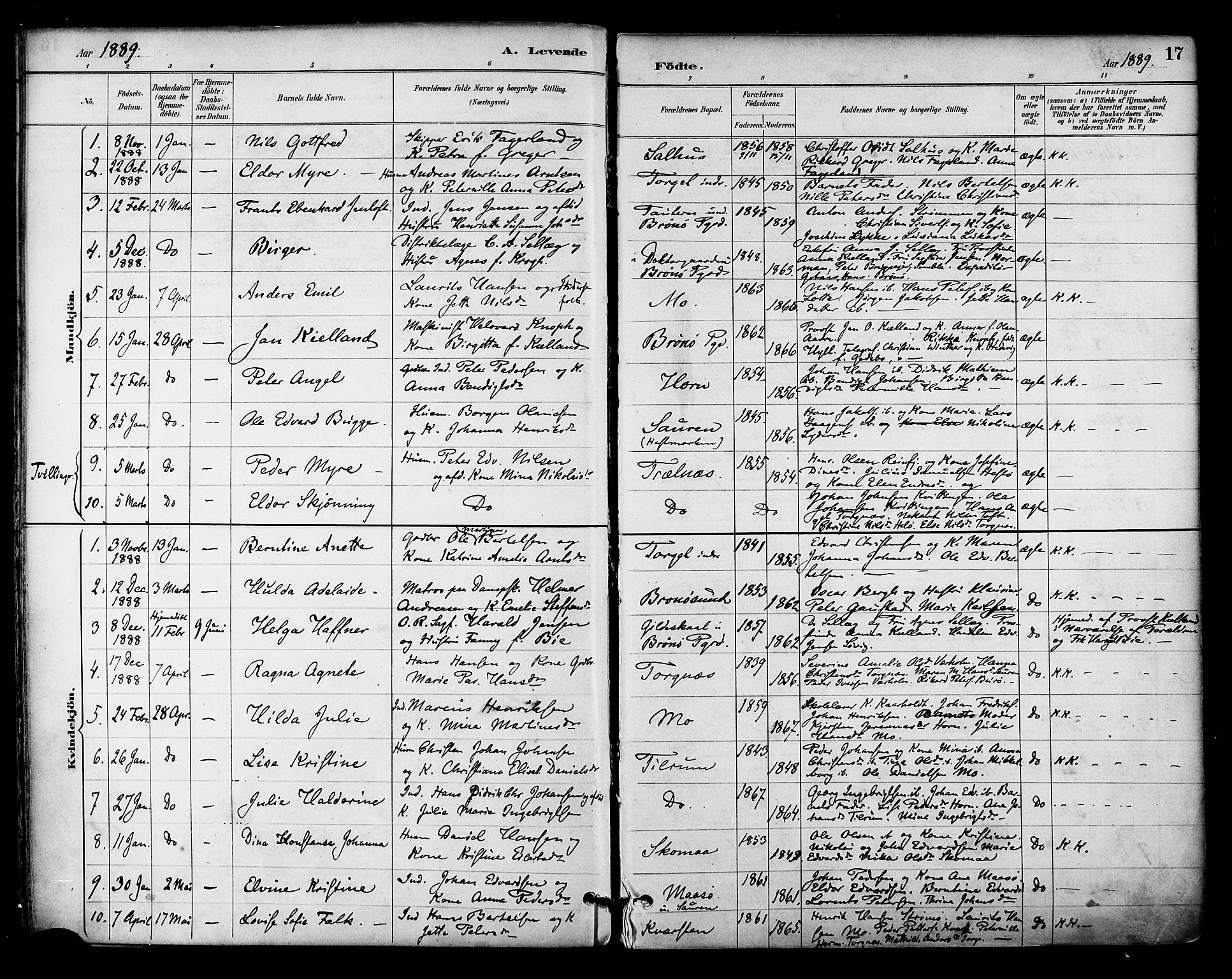 Ministerialprotokoller, klokkerbøker og fødselsregistre - Nordland, SAT/A-1459/813/L0200: Parish register (official) no. 813A10, 1886-1900, p. 17
