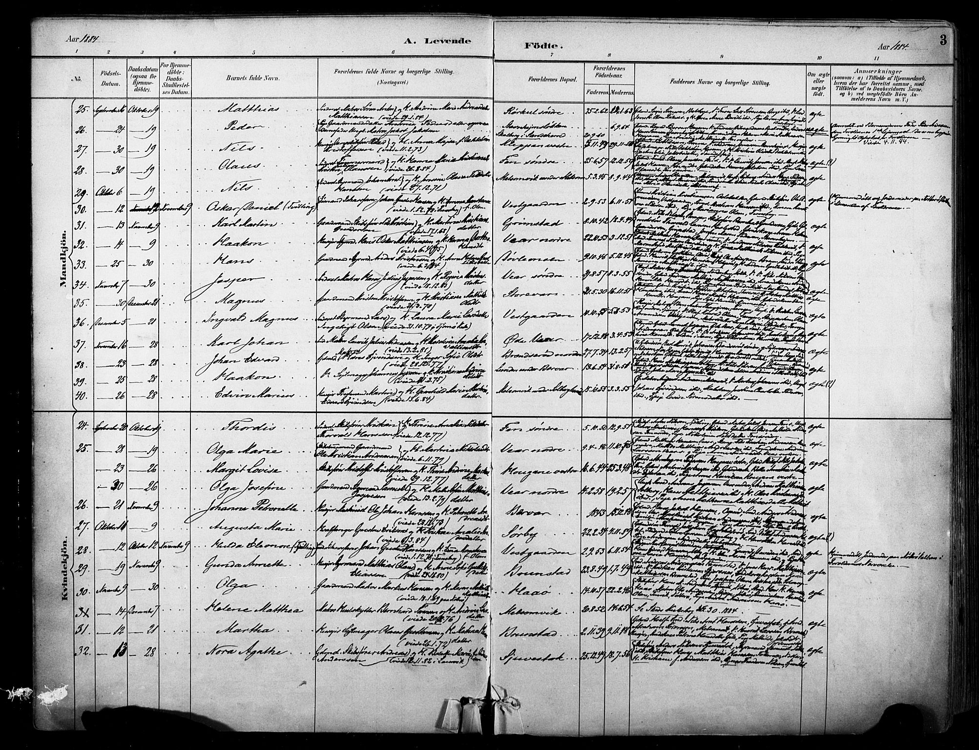 Stokke kirkebøker, SAKO/A-320/F/Fa/L0010: Parish register (official) no. I 10, 1884-1903, p. 3