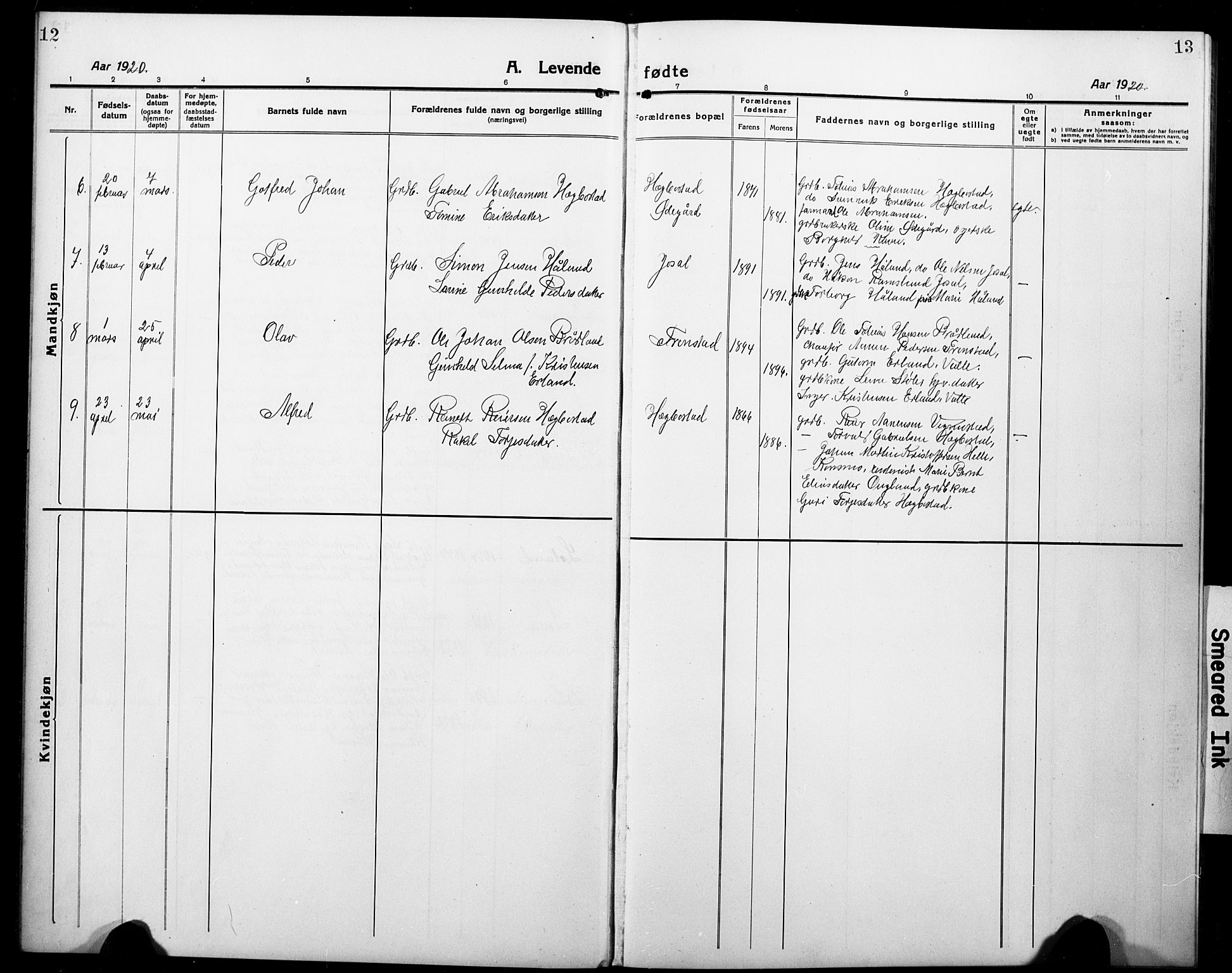 Nord-Audnedal sokneprestkontor, SAK/1111-0032/F/Fb/Fbb/L0005: Parish register (copy) no. B 5, 1918-1929, p. 12-13