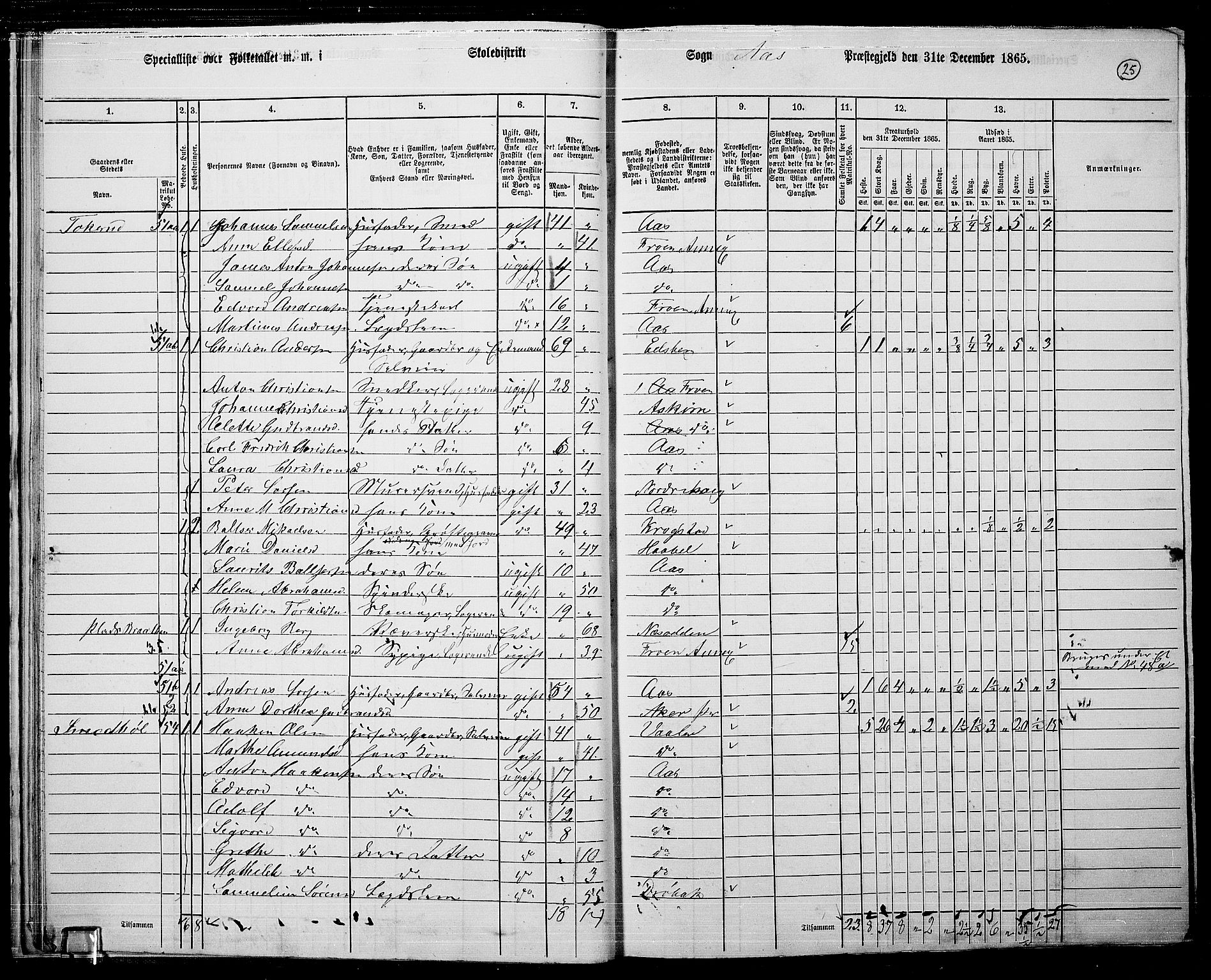 RA, 1865 census for Ås, 1865, p. 22