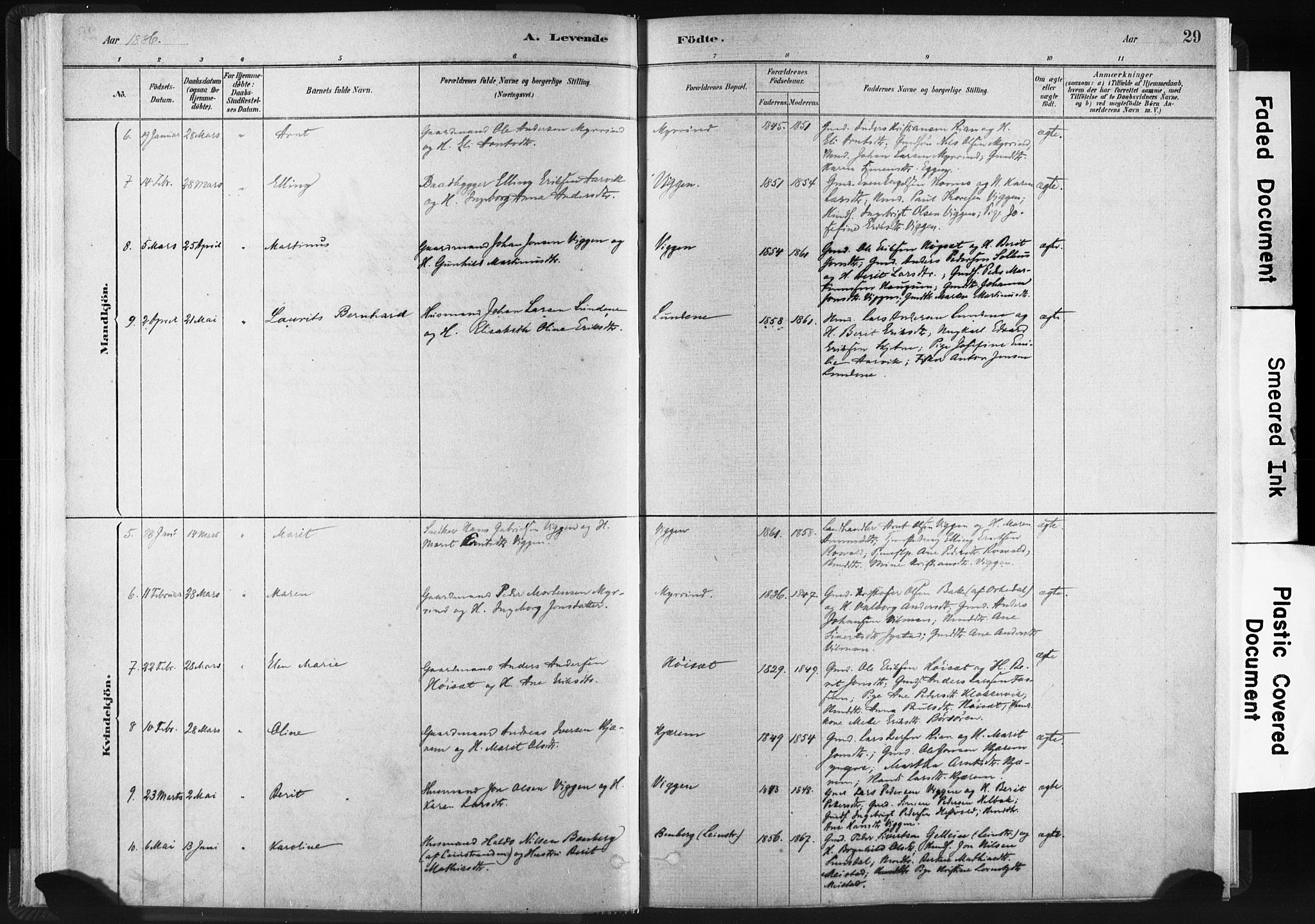 Ministerialprotokoller, klokkerbøker og fødselsregistre - Sør-Trøndelag, AV/SAT-A-1456/665/L0773: Parish register (official) no. 665A08, 1879-1905, p. 29