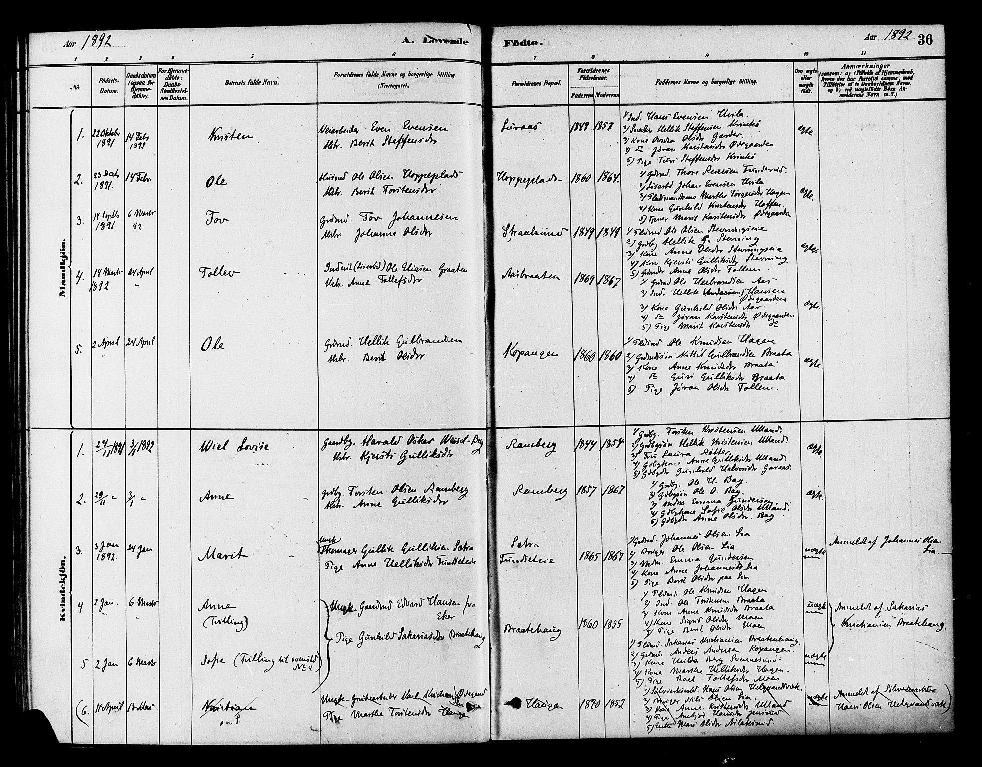 Flesberg kirkebøker, AV/SAKO-A-18/F/Fb/L0001: Parish register (official) no. II 1, 1879-1907, p. 36