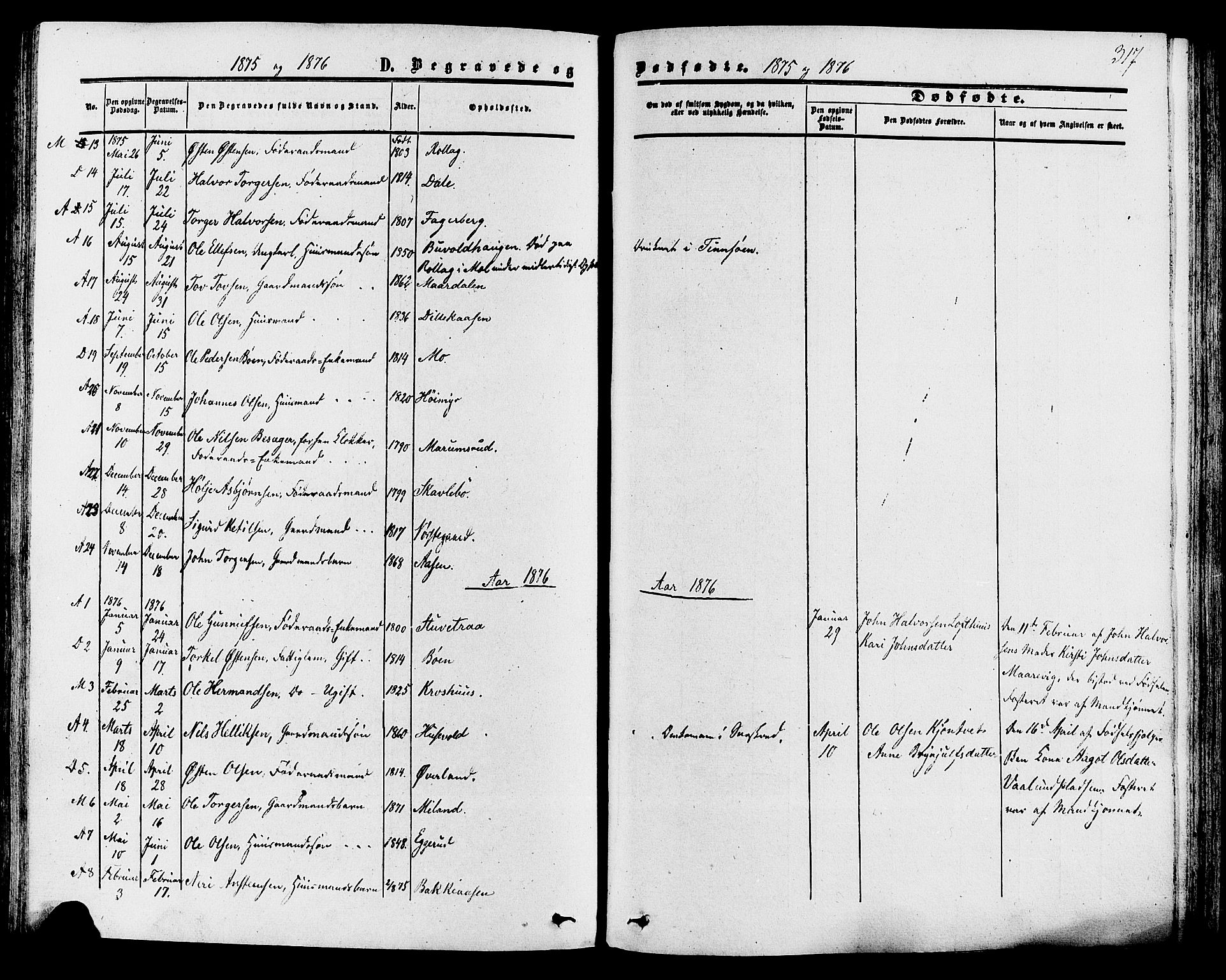 Tinn kirkebøker, AV/SAKO-A-308/F/Fa/L0006: Parish register (official) no. I 6, 1857-1878, p. 317