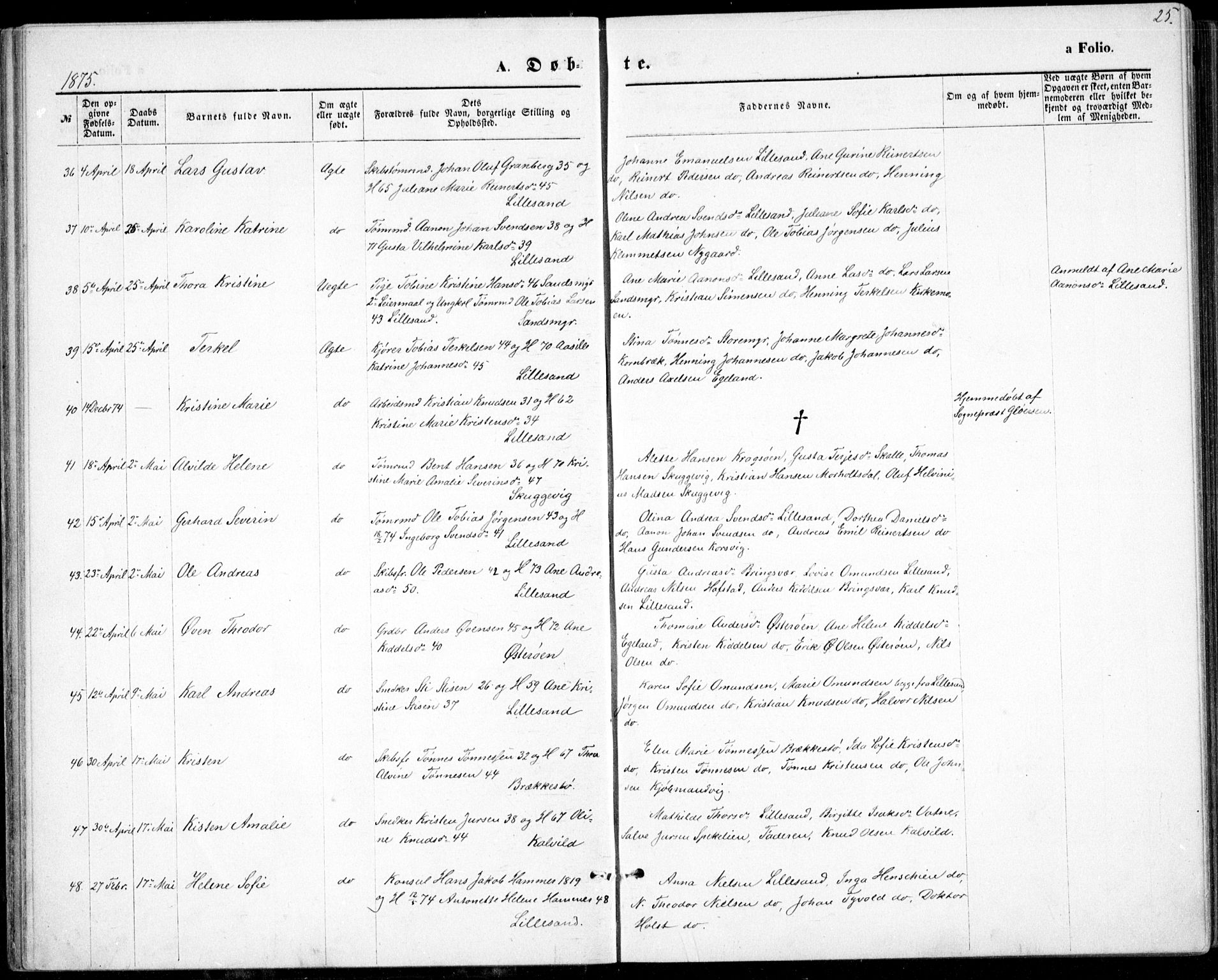Vestre Moland sokneprestkontor, SAK/1111-0046/F/Fb/Fbb/L0005: Parish register (copy) no. B 5, 1872-1883, p. 25