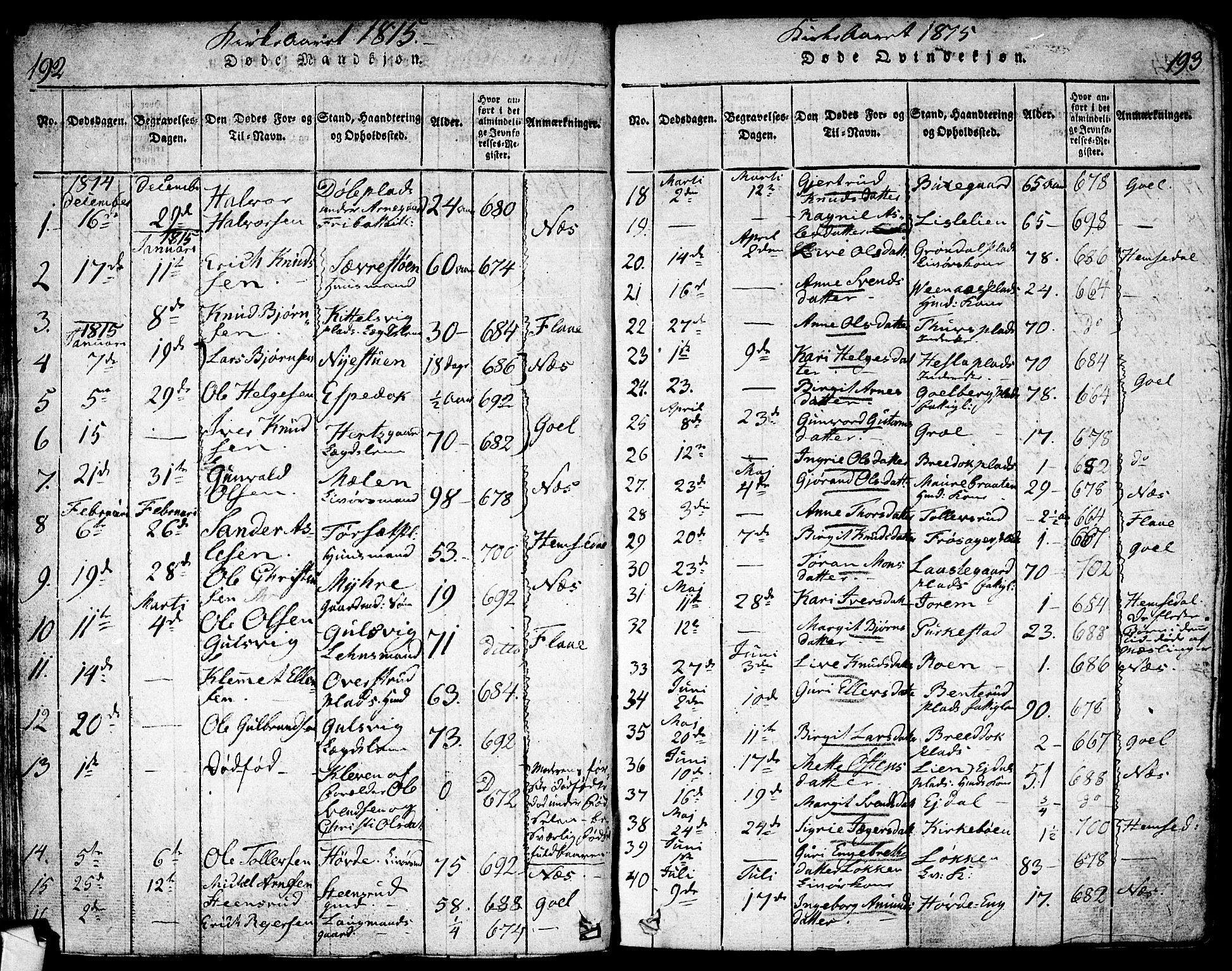 Nes kirkebøker, SAKO/A-236/F/Fa/L0007: Parish register (official) no. 7, 1815-1823, p. 192-193