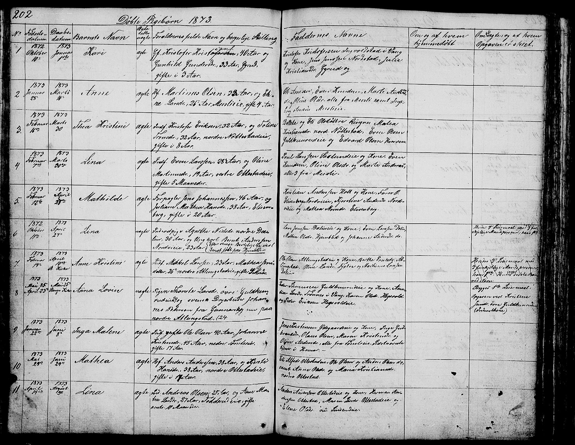 Stange prestekontor, AV/SAH-PREST-002/L/L0002: Parish register (copy) no. 2, 1838-1879, p. 202