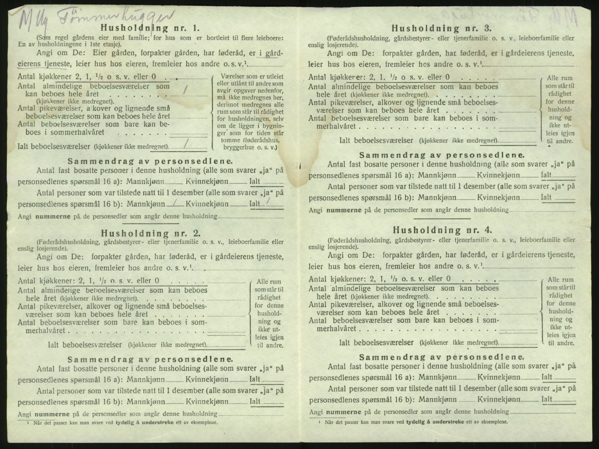 SAKO, 1920 census for Brunlanes, 1920, p. 1960