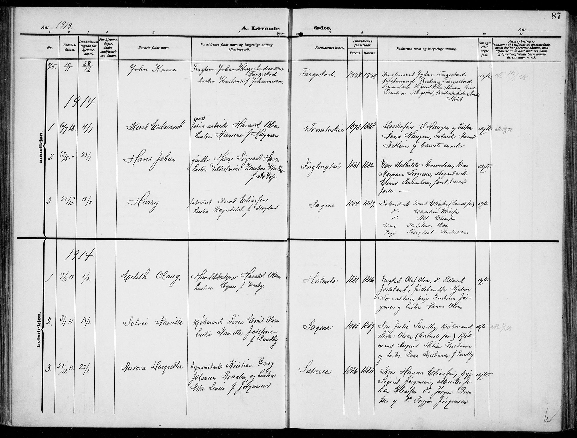 Hurum kirkebøker, SAKO/A-229/F/Fa/L0016: Parish register (official) no. 16, 1899-1918, p. 87