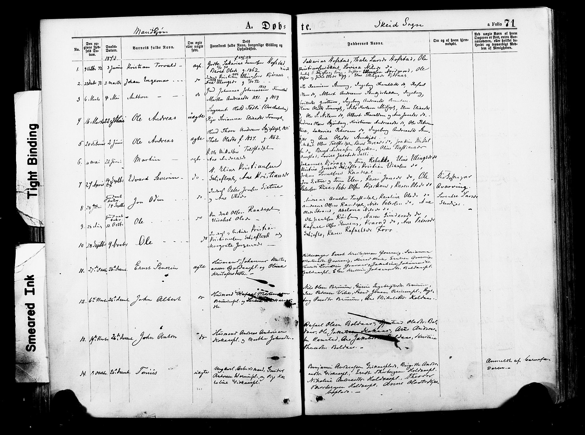 Ministerialprotokoller, klokkerbøker og fødselsregistre - Nord-Trøndelag, SAT/A-1458/735/L0348: Parish register (official) no. 735A09 /2, 1873-1883, p. 71