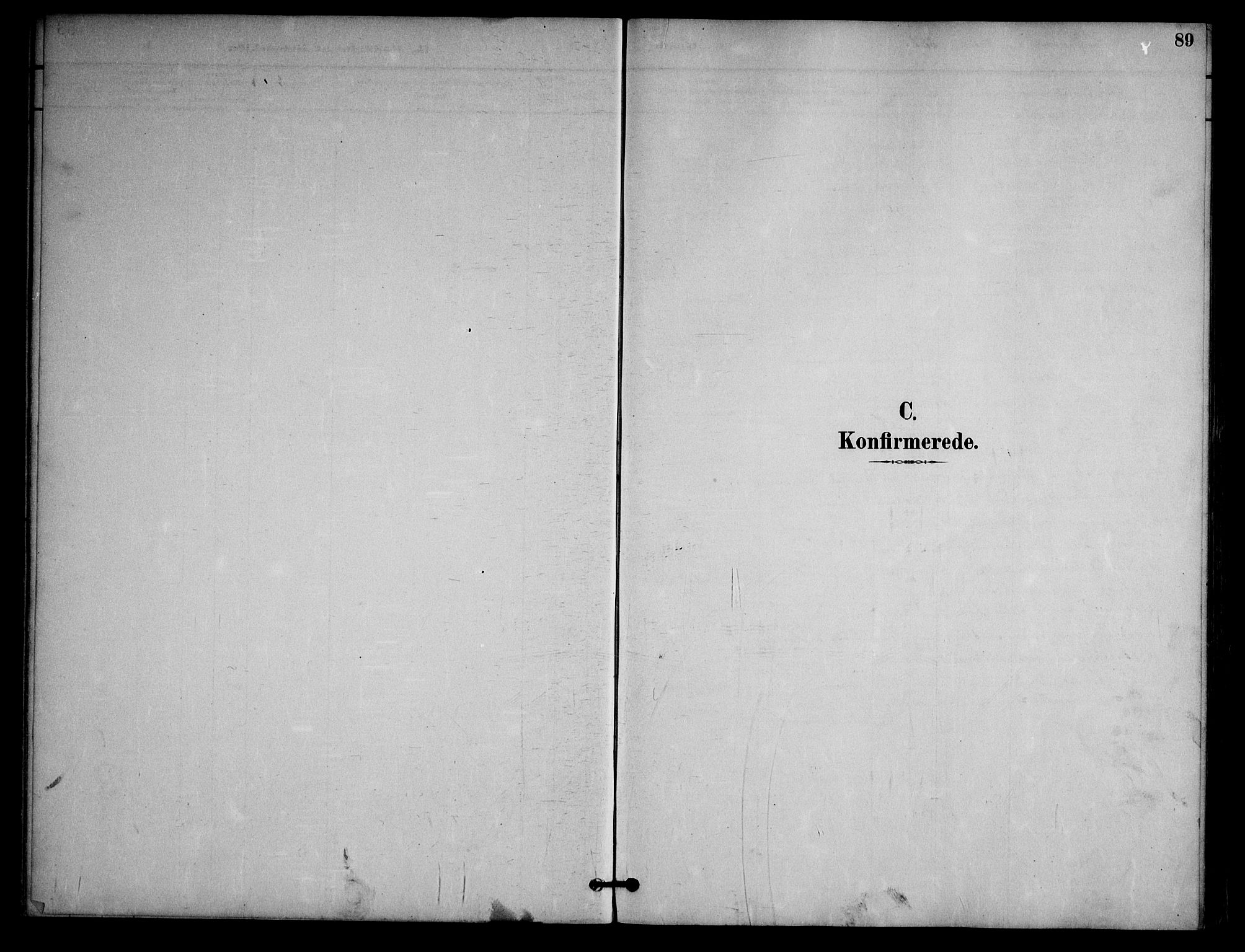 Nissedal kirkebøker, AV/SAKO-A-288/G/Ga/L0003: Parish register (copy) no. I 3, 1887-1911, p. 89