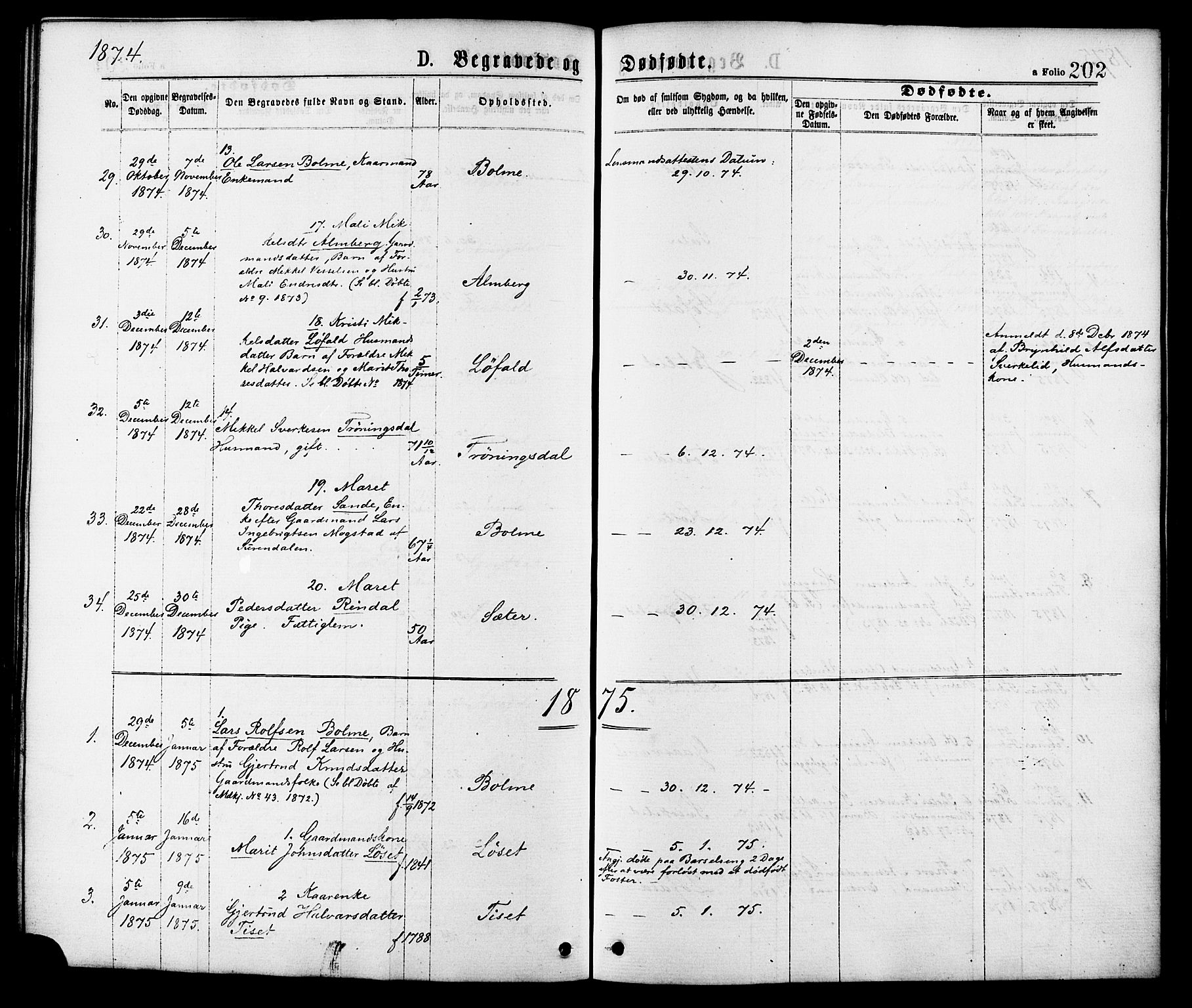 Ministerialprotokoller, klokkerbøker og fødselsregistre - Møre og Romsdal, SAT/A-1454/598/L1068: Parish register (official) no. 598A02, 1872-1881, p. 202