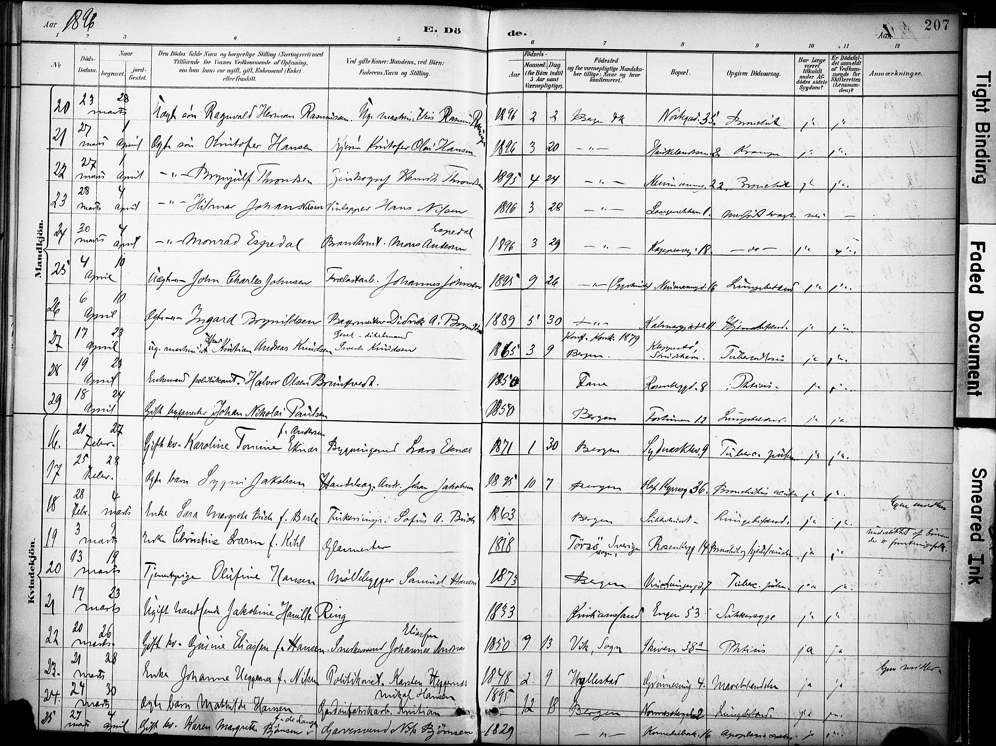 Domkirken sokneprestembete, SAB/A-74801/H/Haa/L0043: Parish register (official) no. E 5, 1882-1904, p. 207