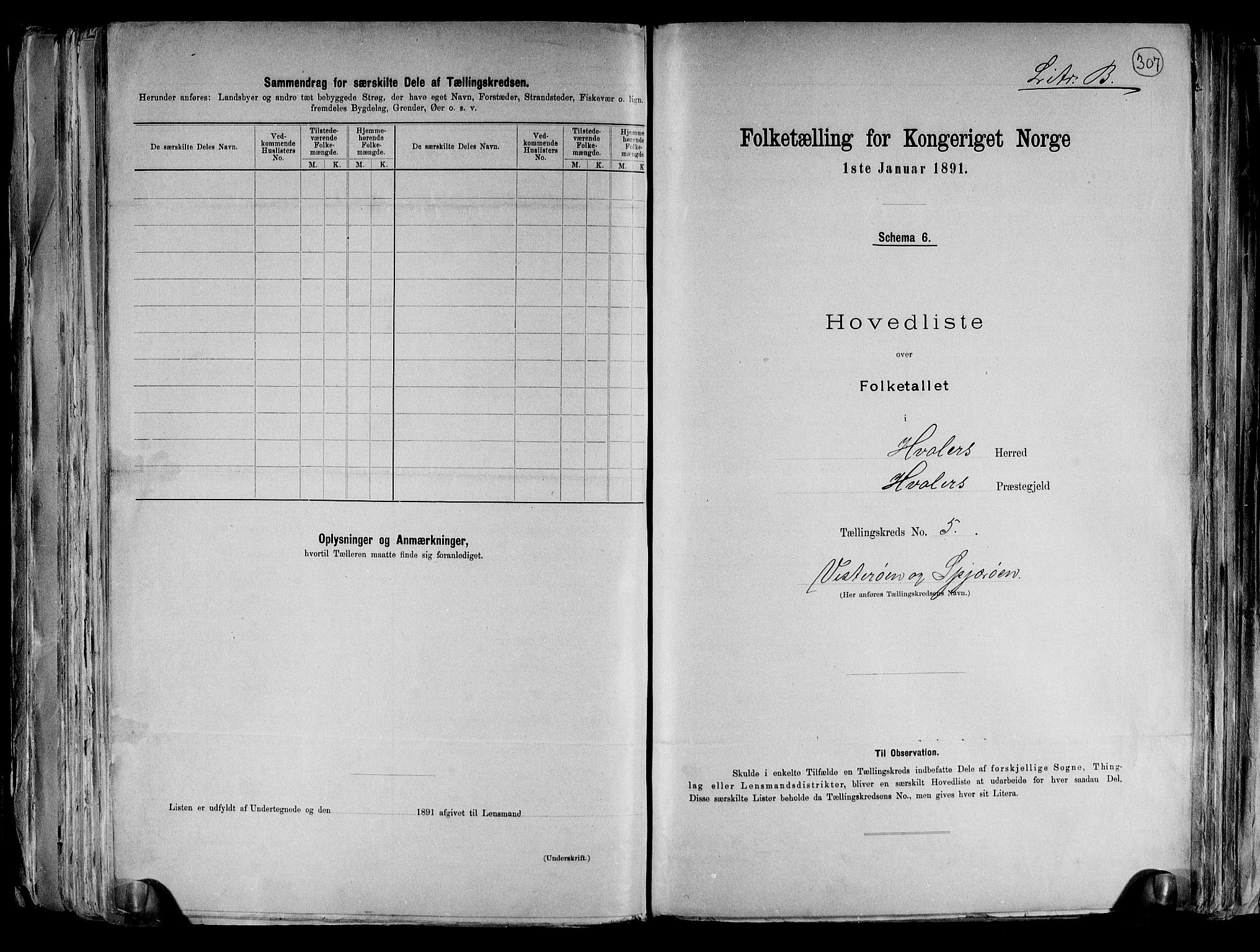 RA, 1891 census for 0111 Hvaler, 1891, p. 20