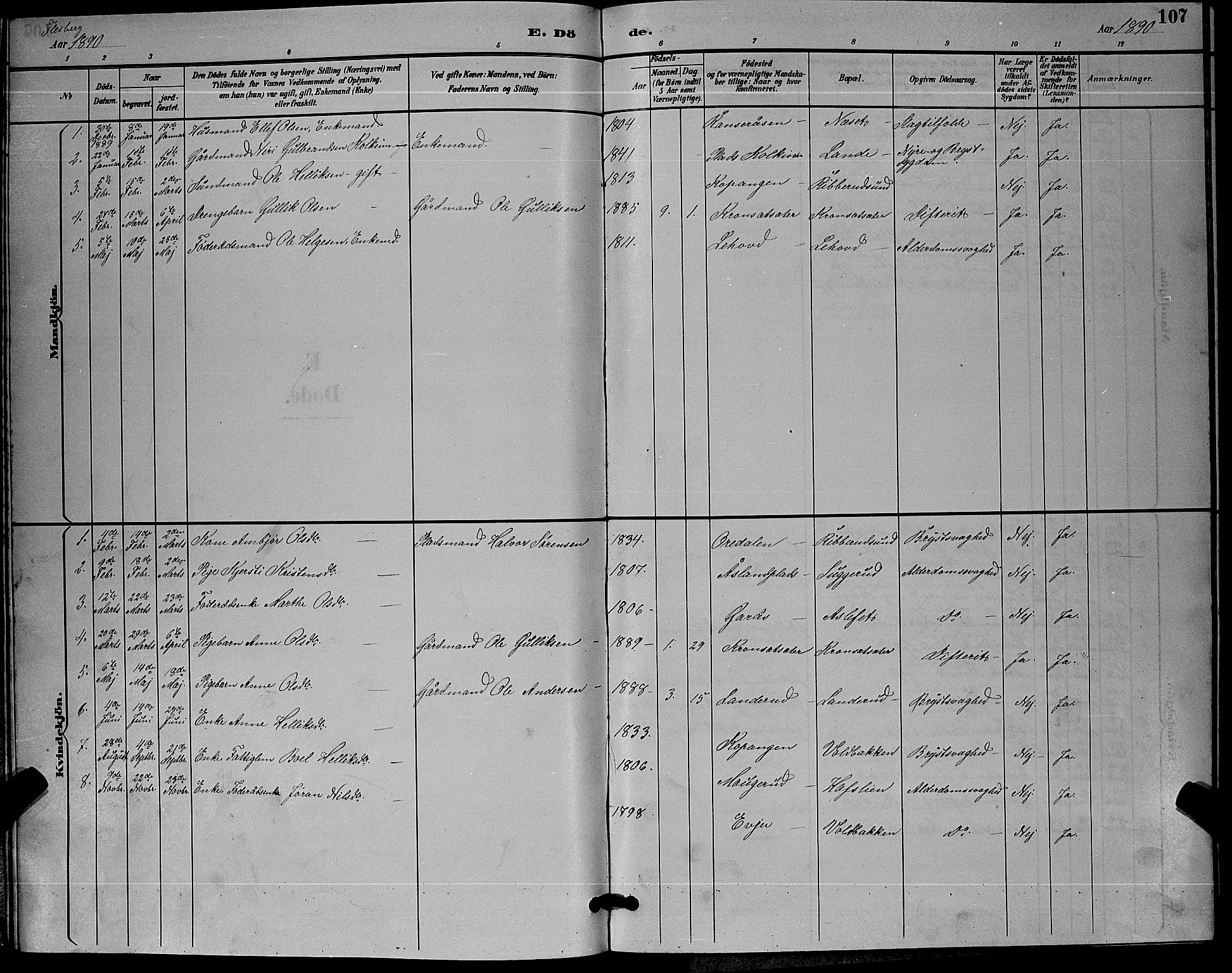 Flesberg kirkebøker, SAKO/A-18/G/Ga/L0004: Parish register (copy) no. I 4 /1, 1890-1898, p. 107