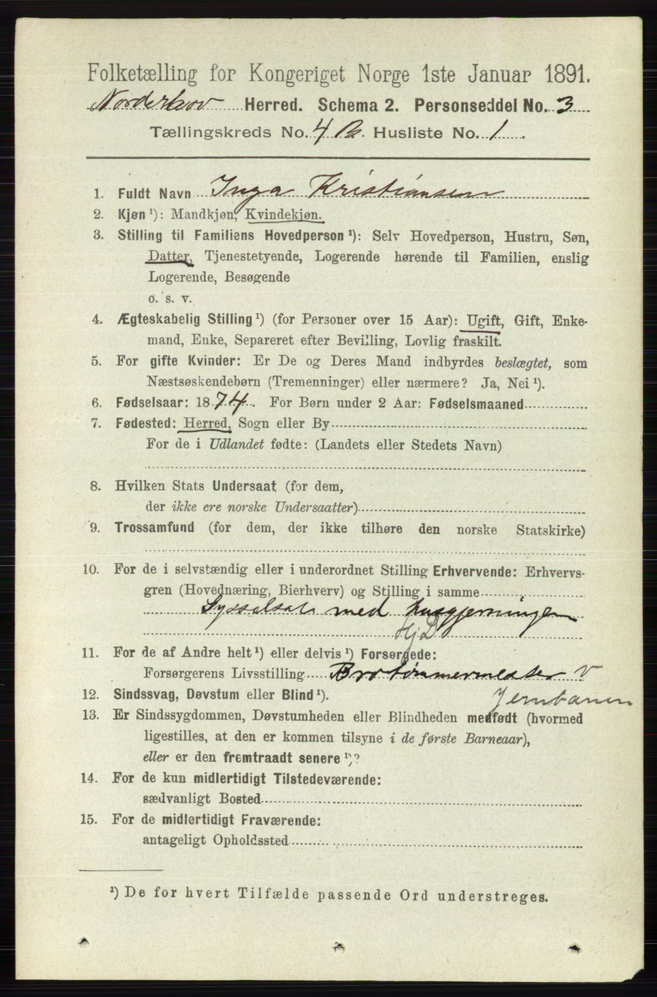 RA, 1891 census for 0613 Norderhov, 1891, p. 2002