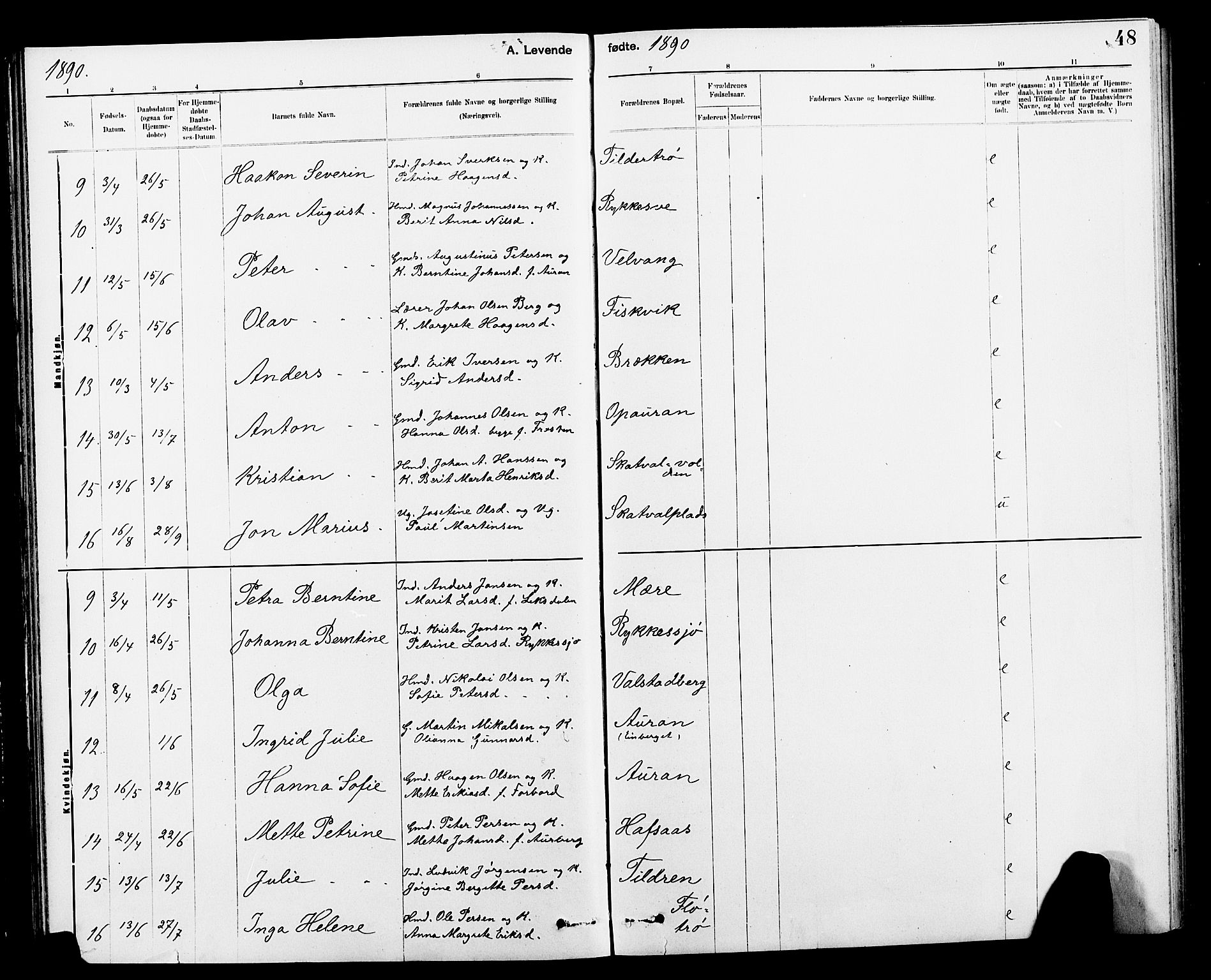 Ministerialprotokoller, klokkerbøker og fødselsregistre - Nord-Trøndelag, AV/SAT-A-1458/712/L0103: Parish register (copy) no. 712C01, 1878-1917, p. 48