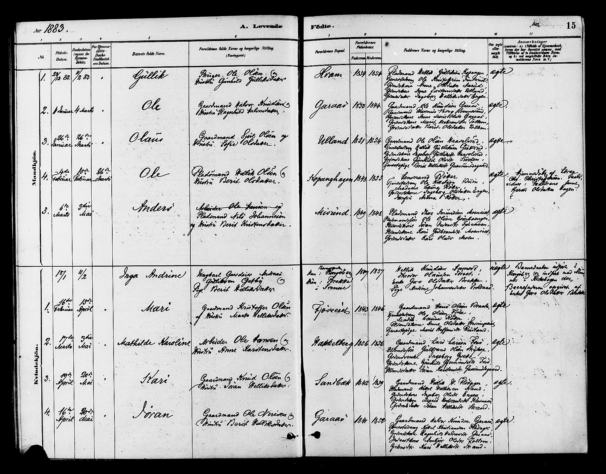 Flesberg kirkebøker, AV/SAKO-A-18/F/Fb/L0001: Parish register (official) no. II 1, 1879-1907, p. 15