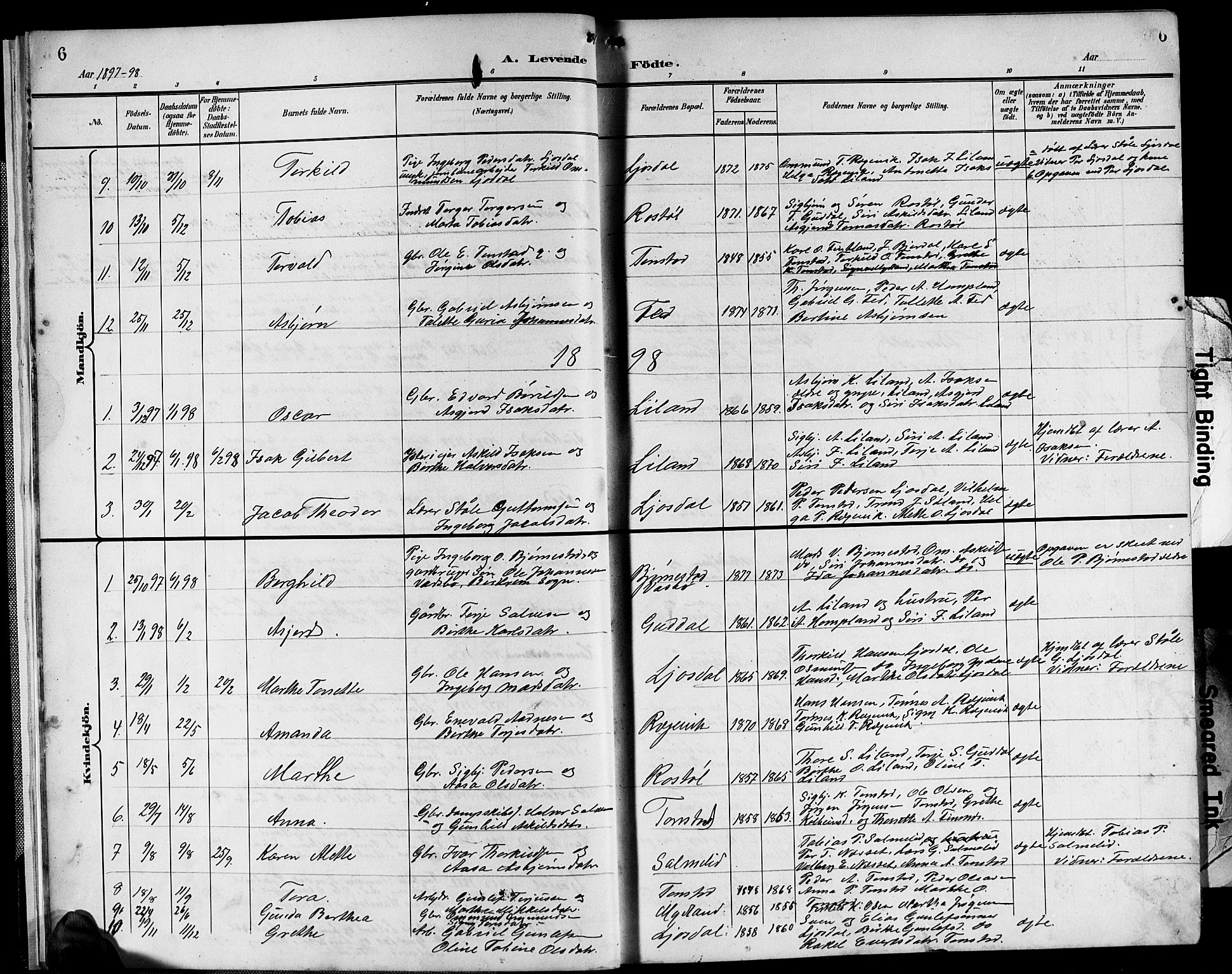 Sirdal sokneprestkontor, SAK/1111-0036/F/Fb/Fbb/L0004: Parish register (copy) no. B 4, 1895-1916, p. 6