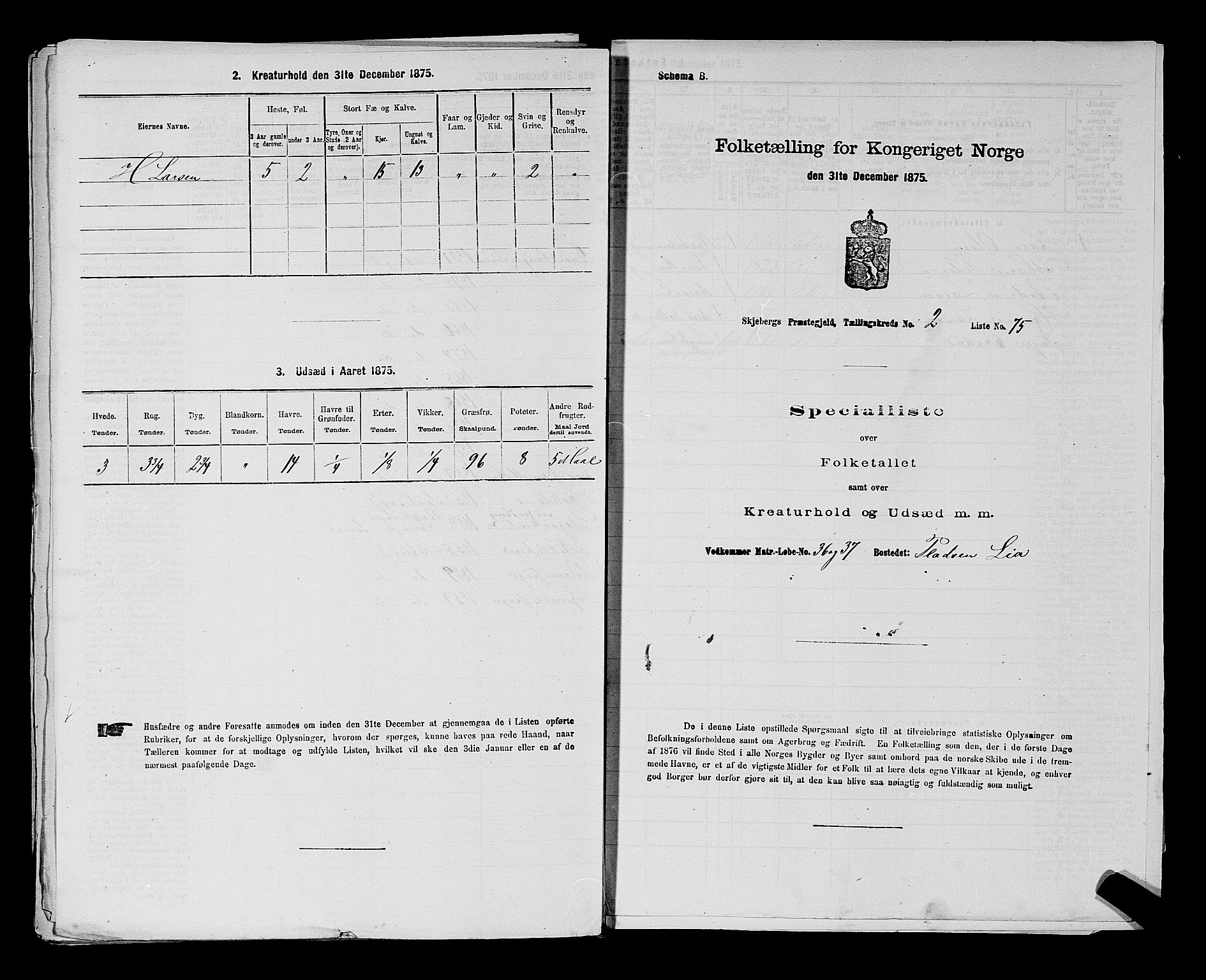 RA, 1875 census for 0115P Skjeberg, 1875, p. 376