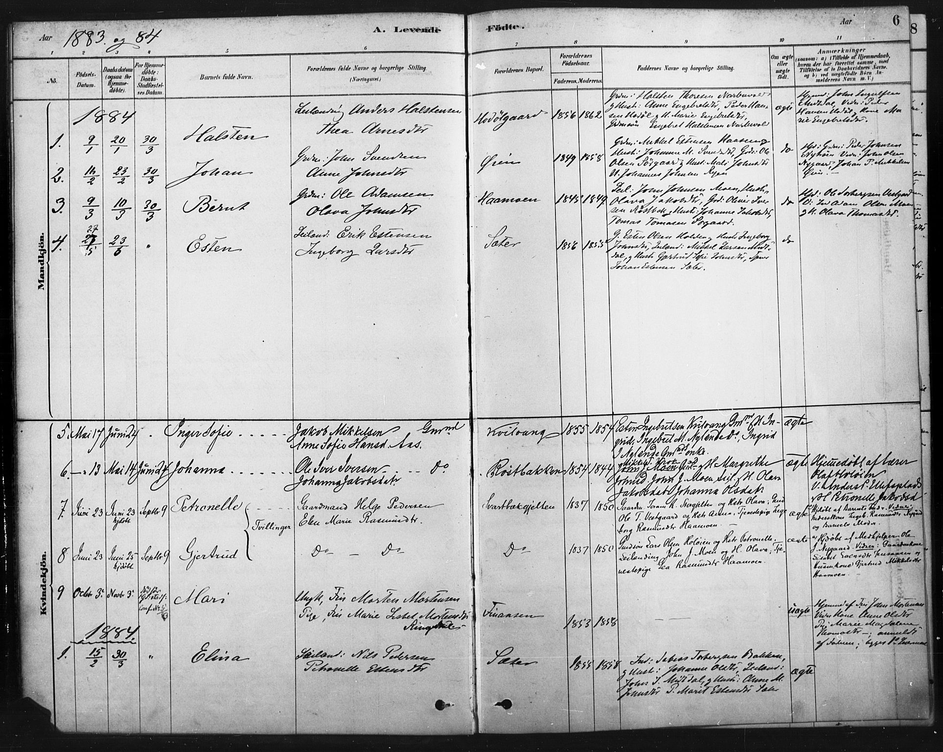 Tolga prestekontor, AV/SAH-PREST-062/K/L0007: Parish register (official) no. 7, 1877-1900, p. 6