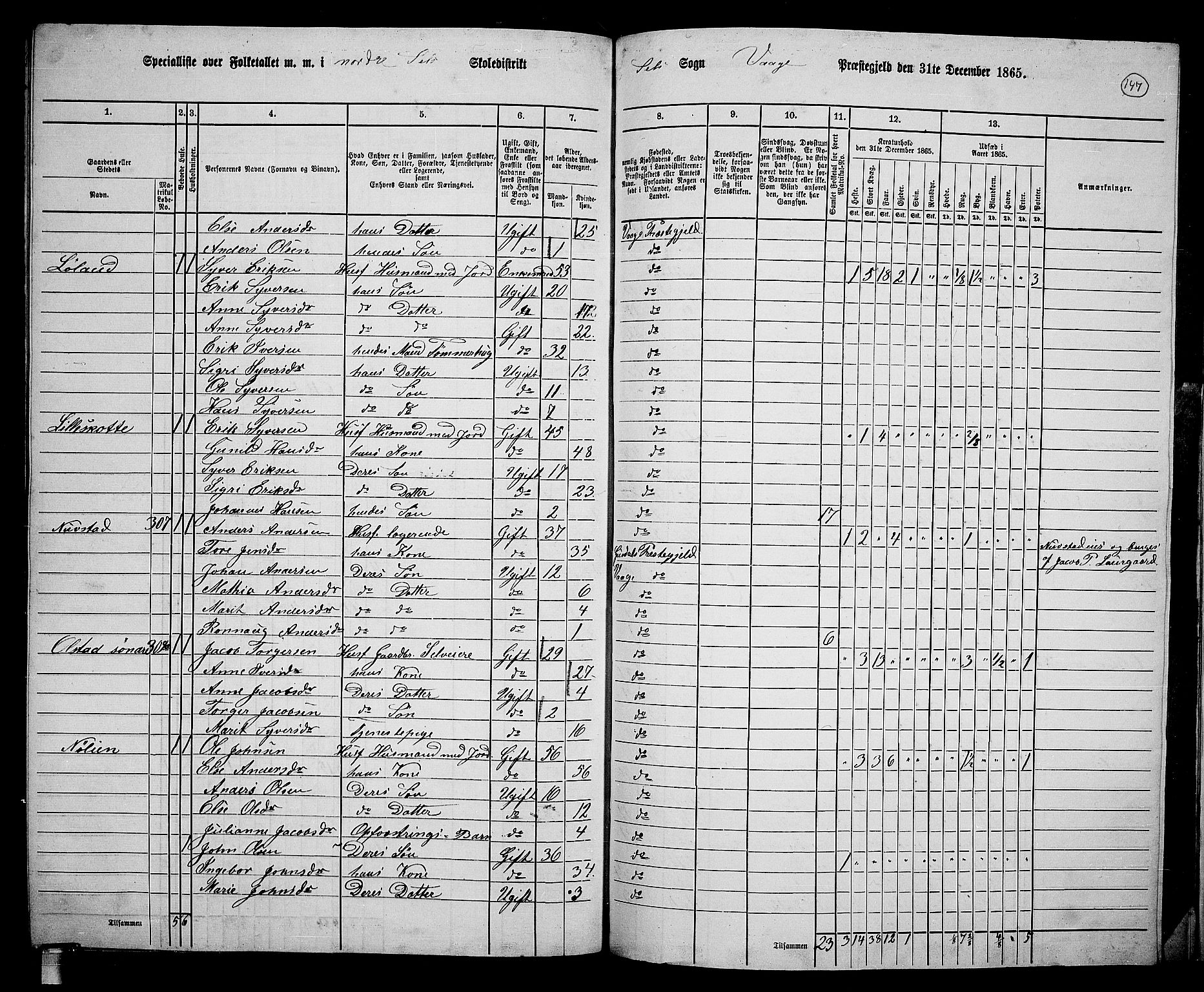RA, 1865 census for Vågå, 1865, p. 303