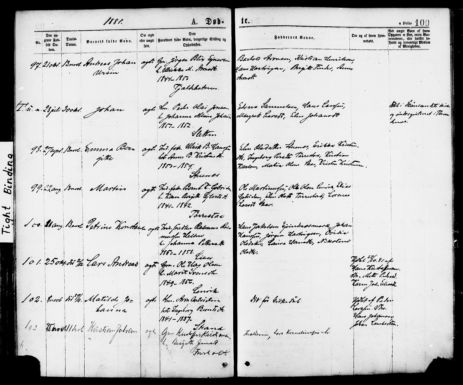 Ministerialprotokoller, klokkerbøker og fødselsregistre - Nordland, AV/SAT-A-1459/863/L0897: Parish register (official) no. 863A09, 1872-1886, p. 100