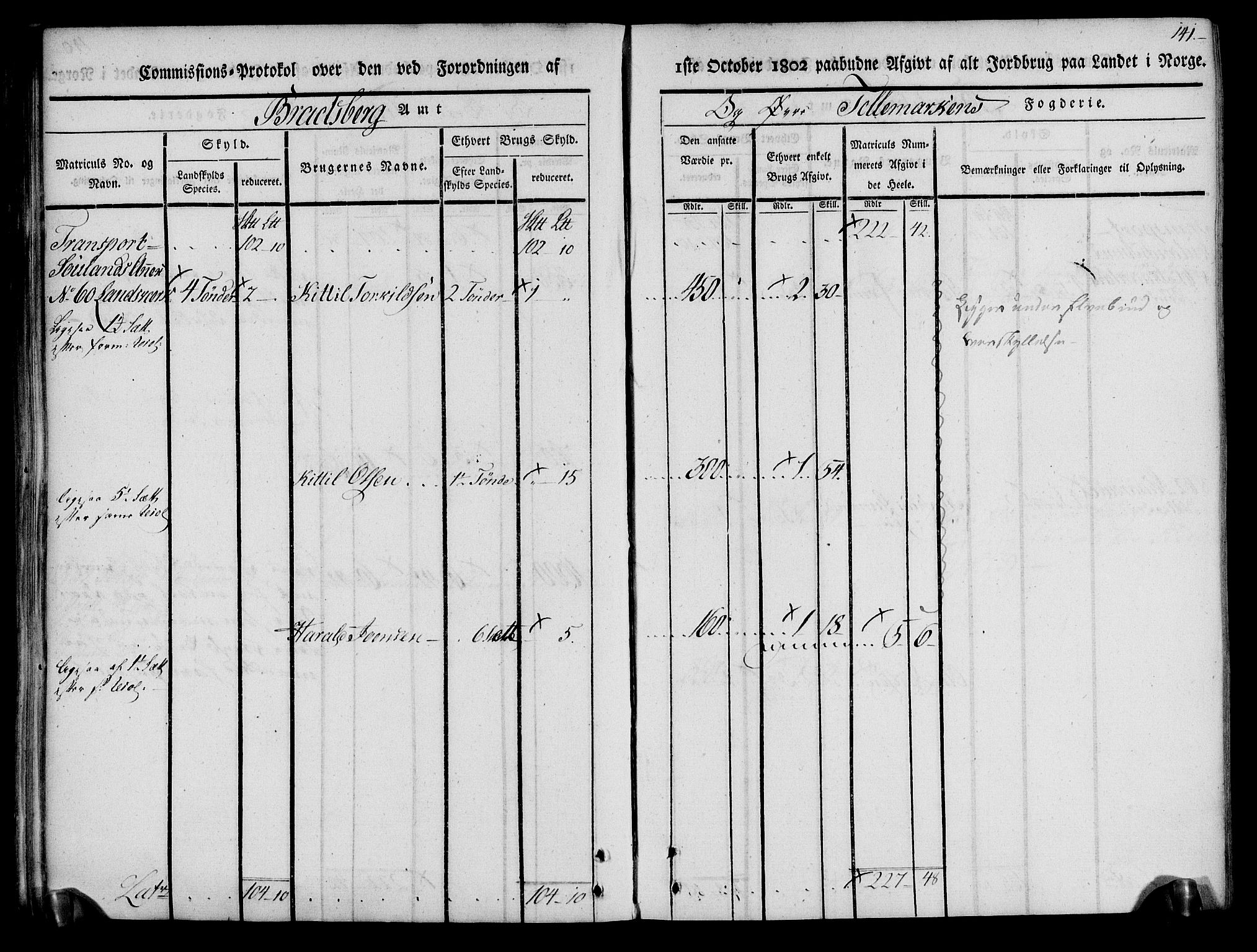 Rentekammeret inntil 1814, Realistisk ordnet avdeling, AV/RA-EA-4070/N/Ne/Nea/L0074: Øvre Telemarken fogderi. Kommisjonsprotokoll for fogderiets østre del - Tinn, Hjartdal og Seljord prestegjeld., 1803, p. 141