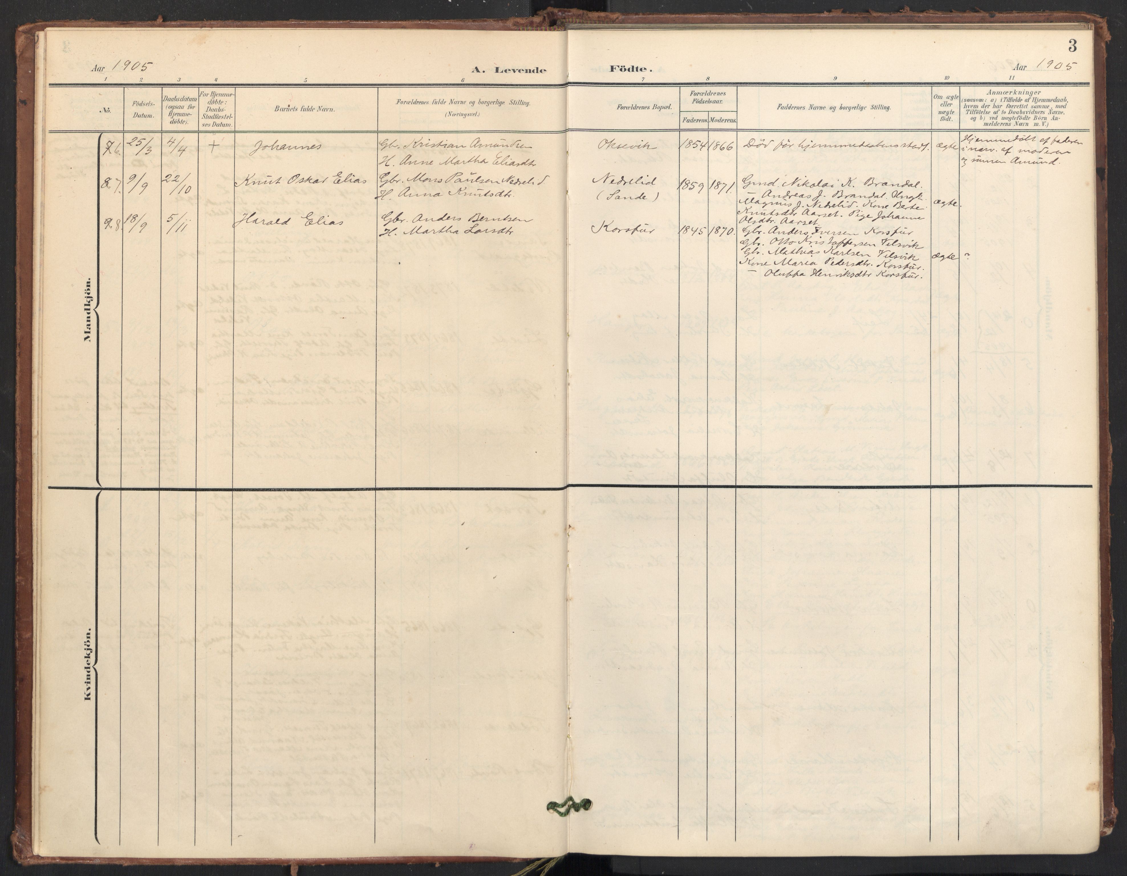 Ministerialprotokoller, klokkerbøker og fødselsregistre - Møre og Romsdal, AV/SAT-A-1454/504/L0057: Parish register (official) no. 504A04, 1902-1919, p. 3