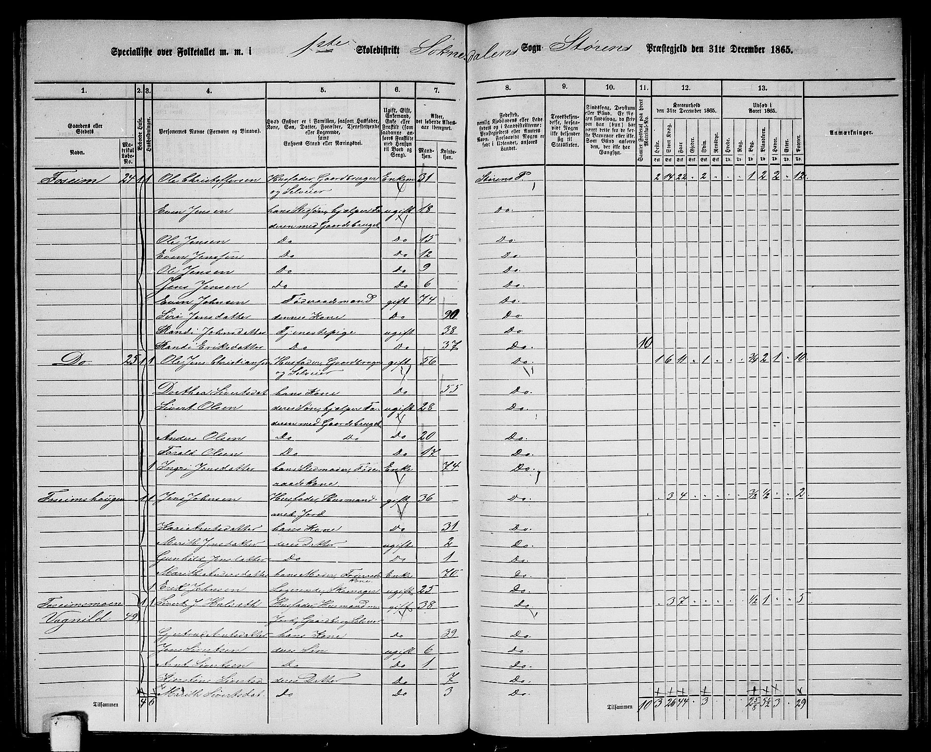 RA, 1865 census for Støren, 1865, p. 230