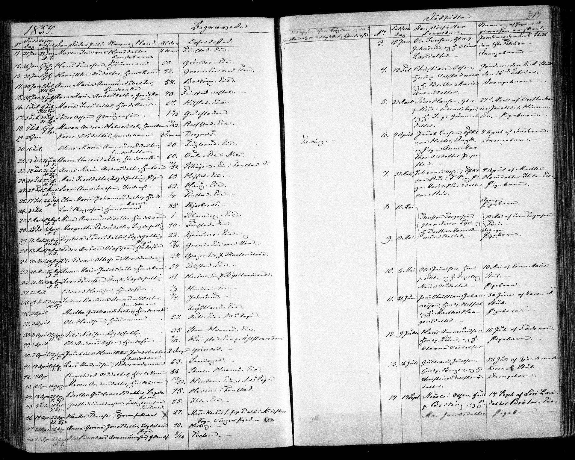 Nes prestekontor Kirkebøker, SAO/A-10410/F/Fa/L0007: Parish register (official) no. I 7, 1846-1858, p. 317